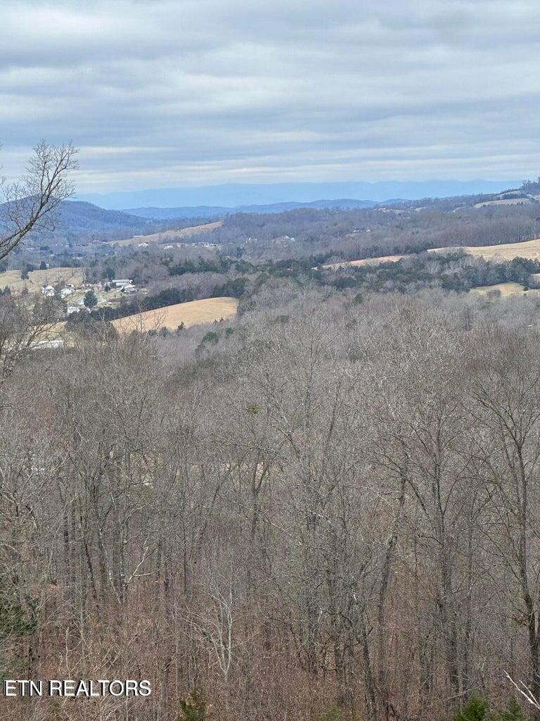 Norris Lake Real Estate - Image# 4