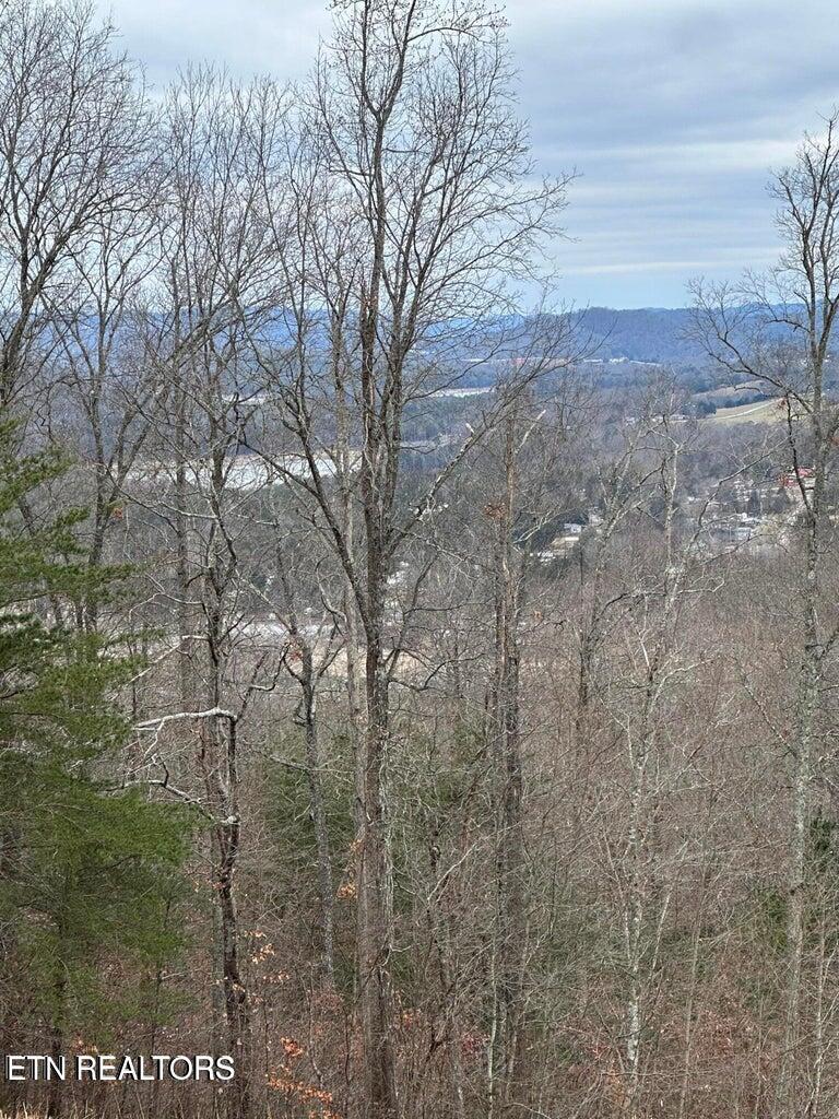 Norris Lake Real Estate - Image# 5