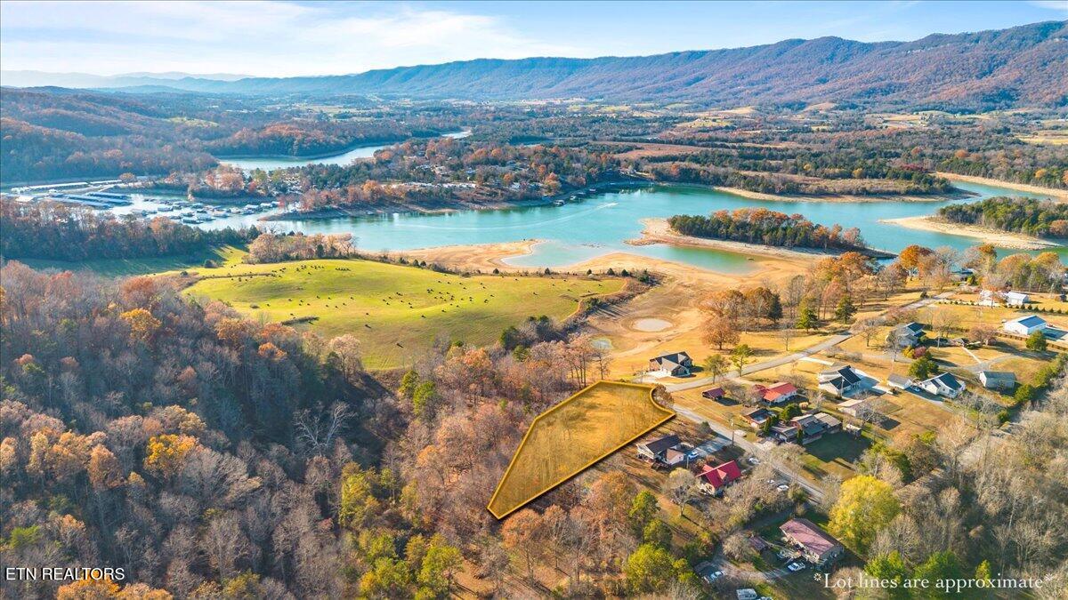900 Powell Valley Shores Circle, Speedwell, TN - Norris Lake Real Estate - Image# 1