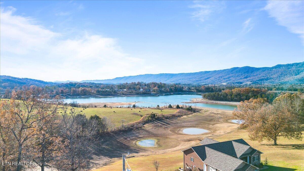 900 Powell Valley Shores Circle, Speedwell, TN - Norris Lake Real Estate - Image# 7