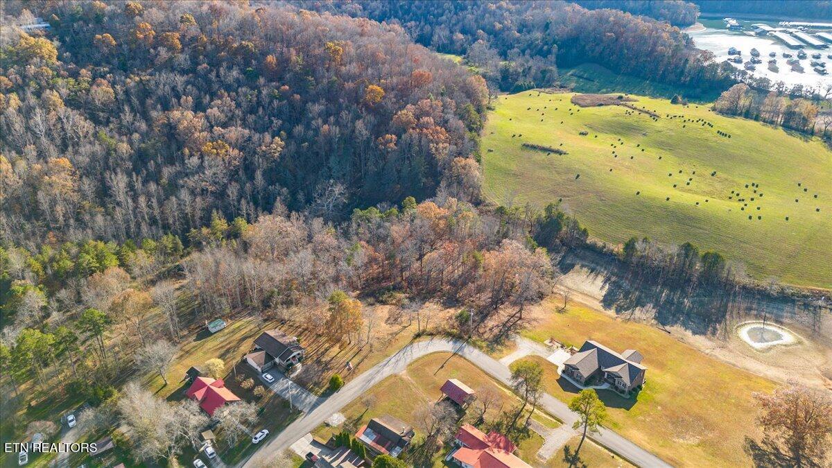 900 Powell Valley Shores Circle, Speedwell, TN - Norris Lake Real Estate - Image# 9
