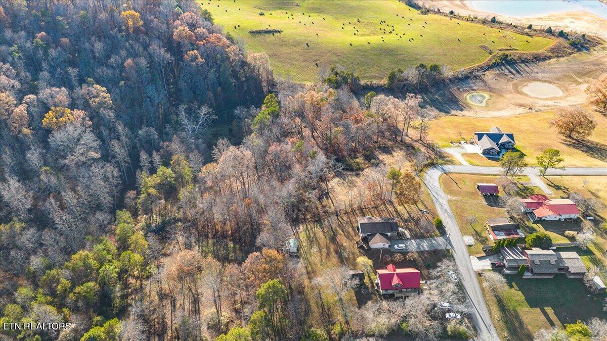 900 Powell Valley Shores Circle, Speedwell, TN - Norris Lake Real Estate - Image# 10