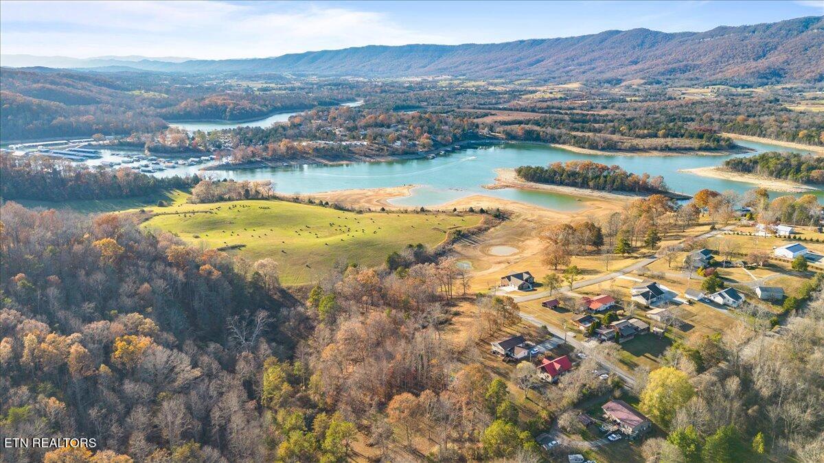 900 Powell Valley Shores Circle, Speedwell, TN - Norris Lake Real Estate - Image# 11