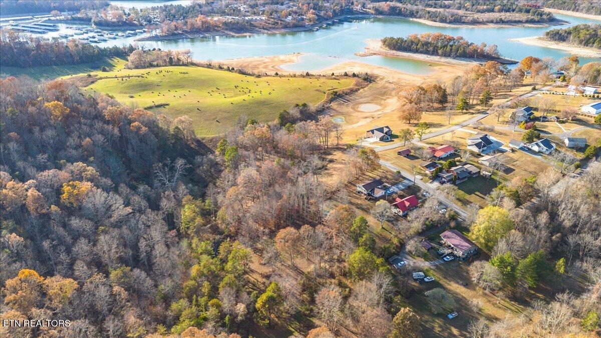 900 Powell Valley Shores Circle, Speedwell, TN - Norris Lake Real Estate - Image# 12