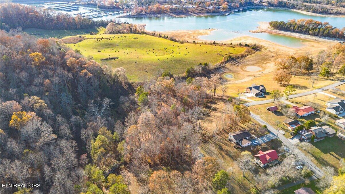900 Powell Valley Shores Circle, Speedwell, TN - Norris Lake Real Estate - Image# 13