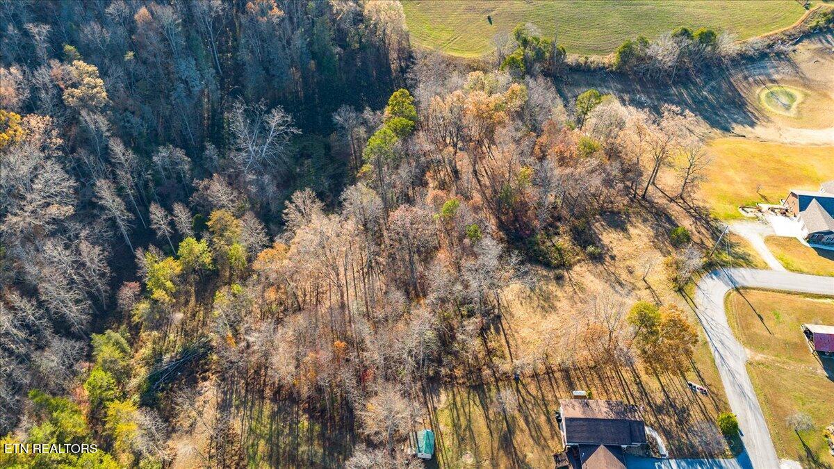 900 Powell Valley Shores Circle, Speedwell, TN - Norris Lake Real Estate - Image# 14