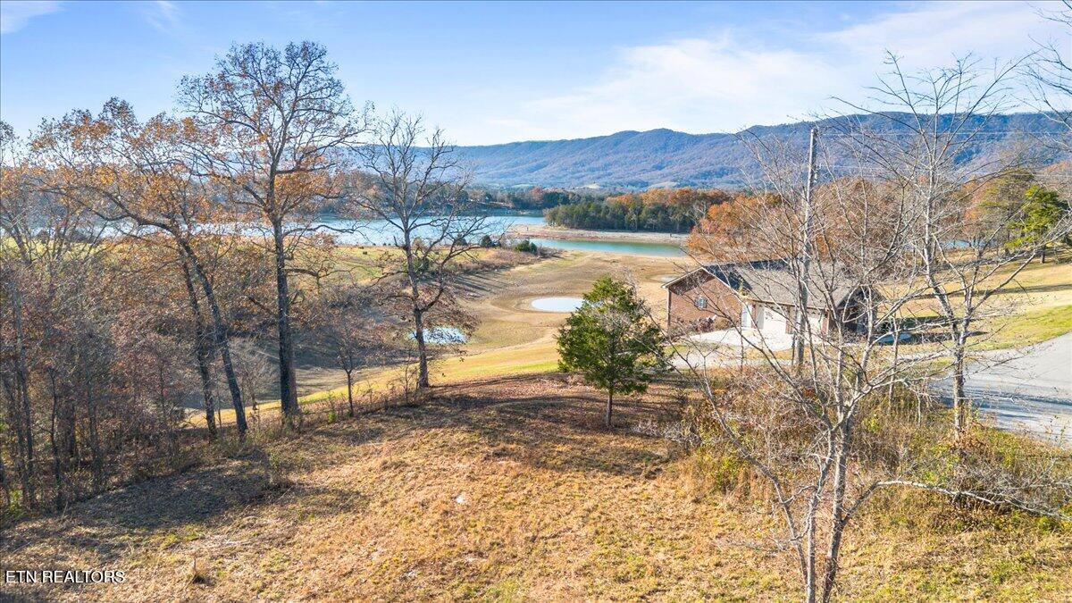 900 Powell Valley Shores Circle, Speedwell, TN - Norris Lake Real Estate - Image# 16