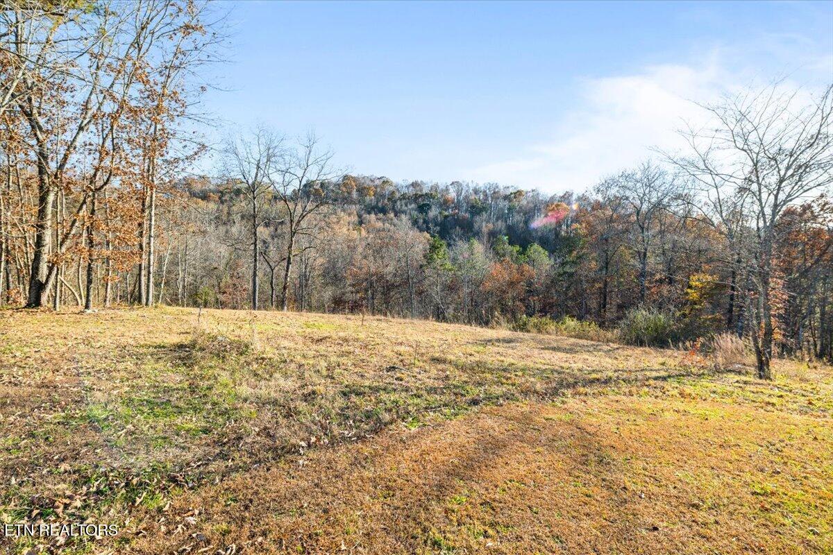 900 Powell Valley Shores Circle, Speedwell, TN - Norris Lake Real Estate - Image# 3