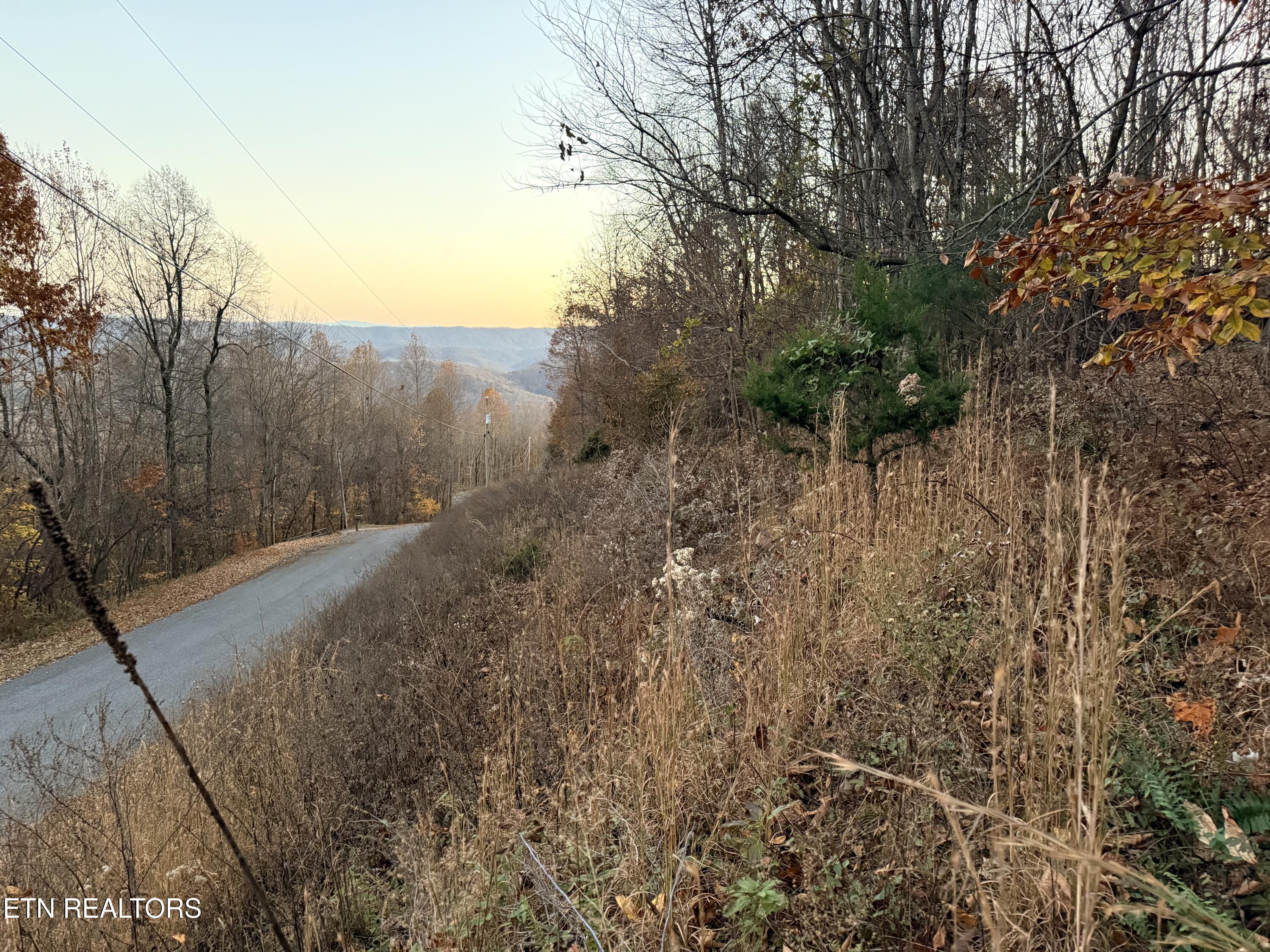 Lot 214 Clinch View Rd, New Tazewell, TN - Norris Lake Real Estate - Image# 4