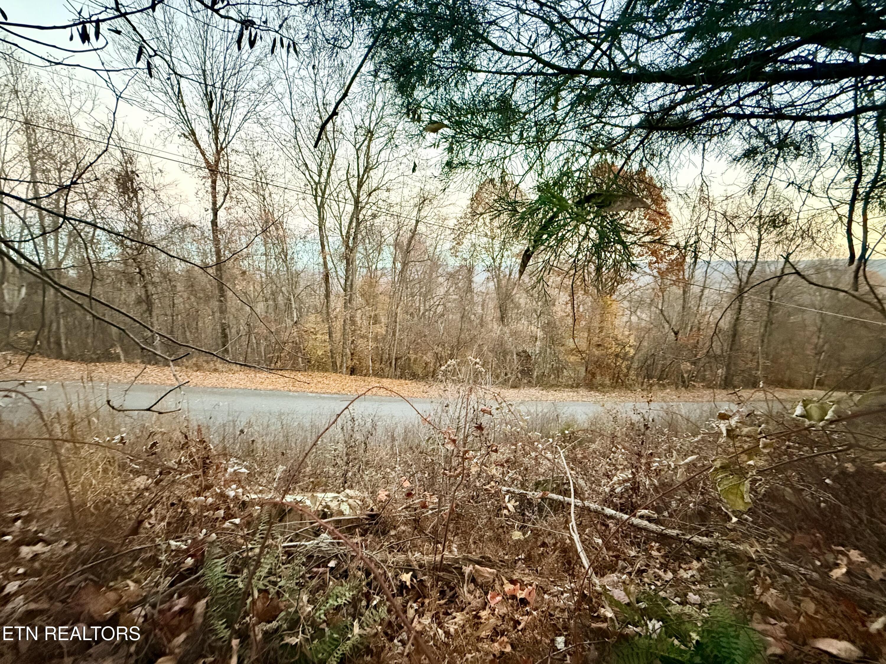 Lot 214 Clinch View Rd, New Tazewell, TN - Norris Lake Real Estate - Image# 5
