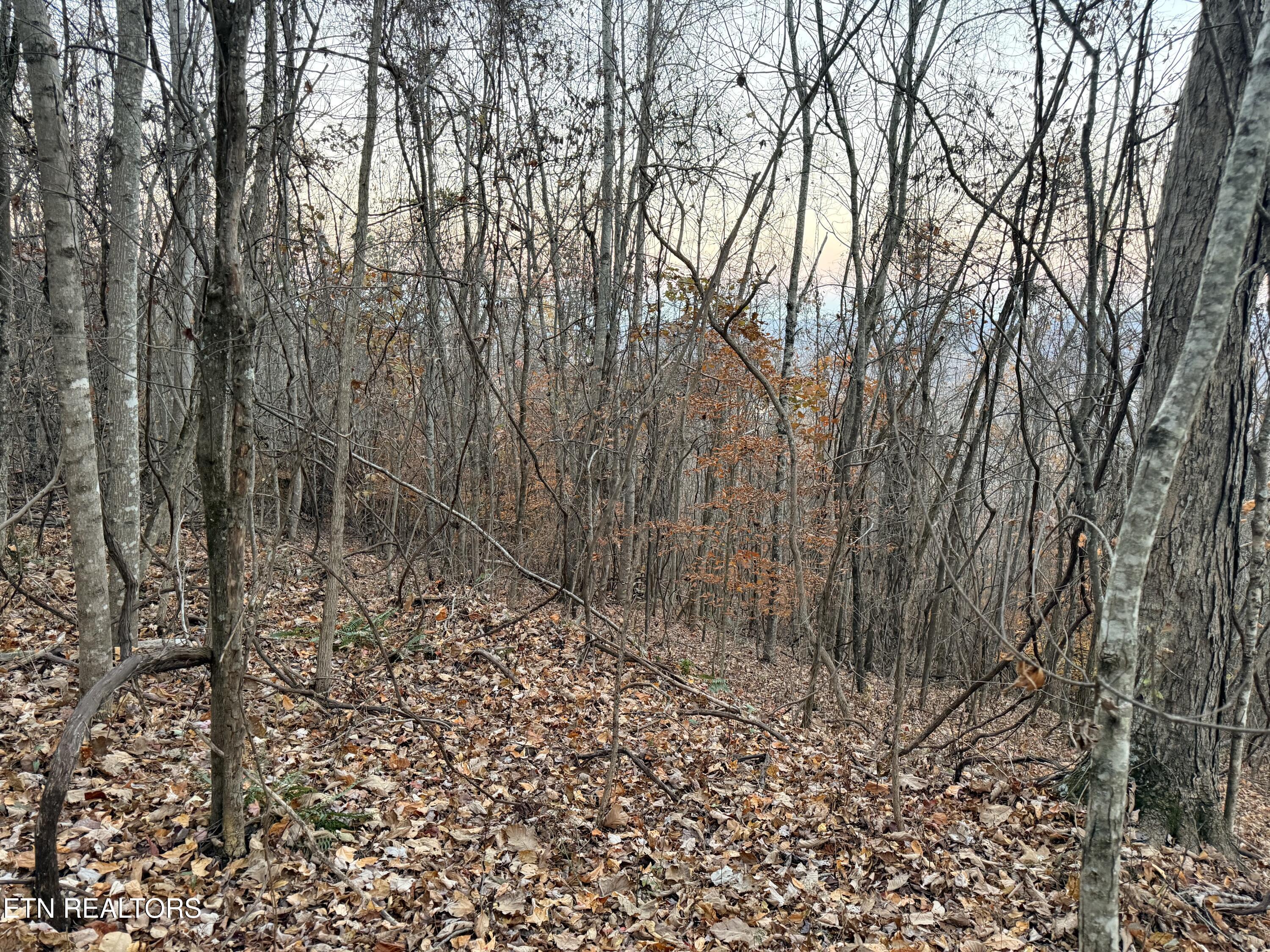 Lot 214 Clinch View Rd, New Tazewell, TN - Norris Lake Real Estate - Image# 8
