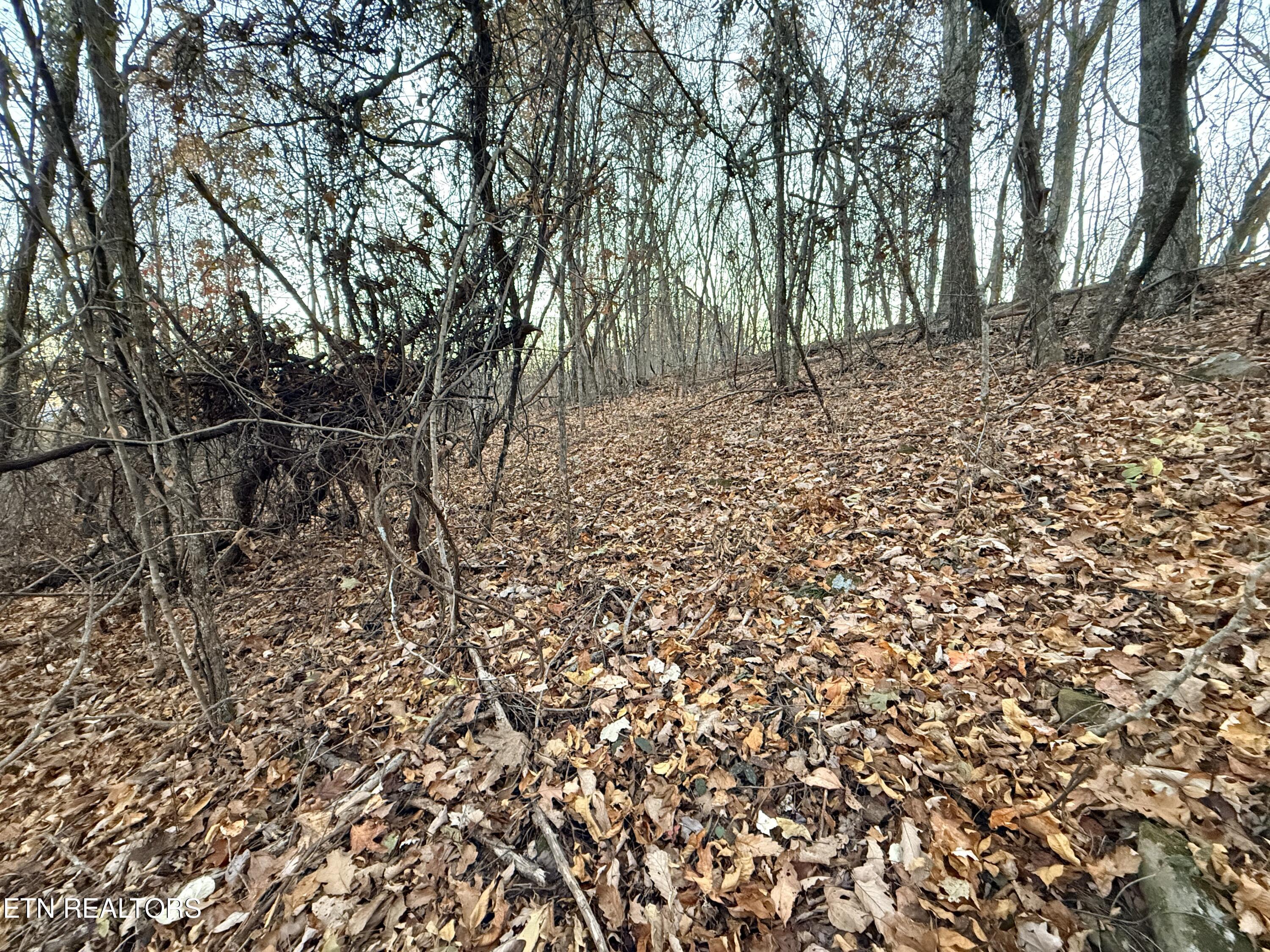 Lot 214 Clinch View Rd, New Tazewell, TN - Norris Lake Real Estate - Image# 10