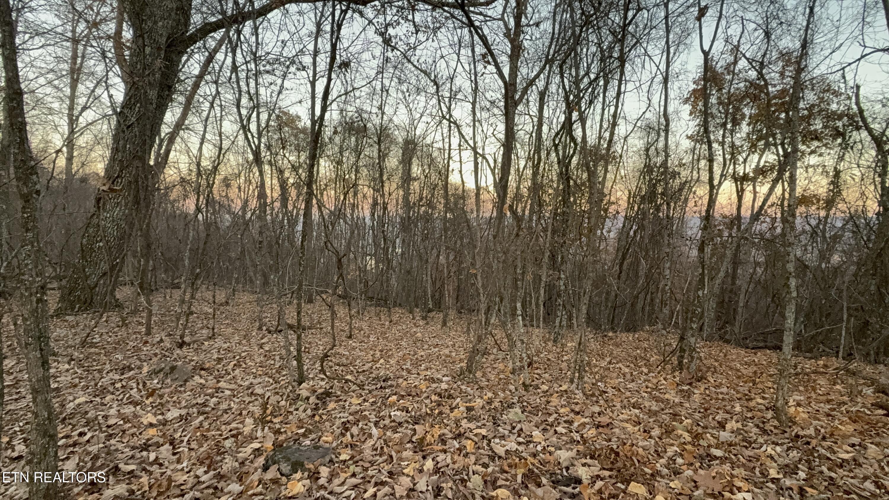 Lot 214 Clinch View Rd, New Tazewell, TN - Norris Lake Real Estate - Image# 12