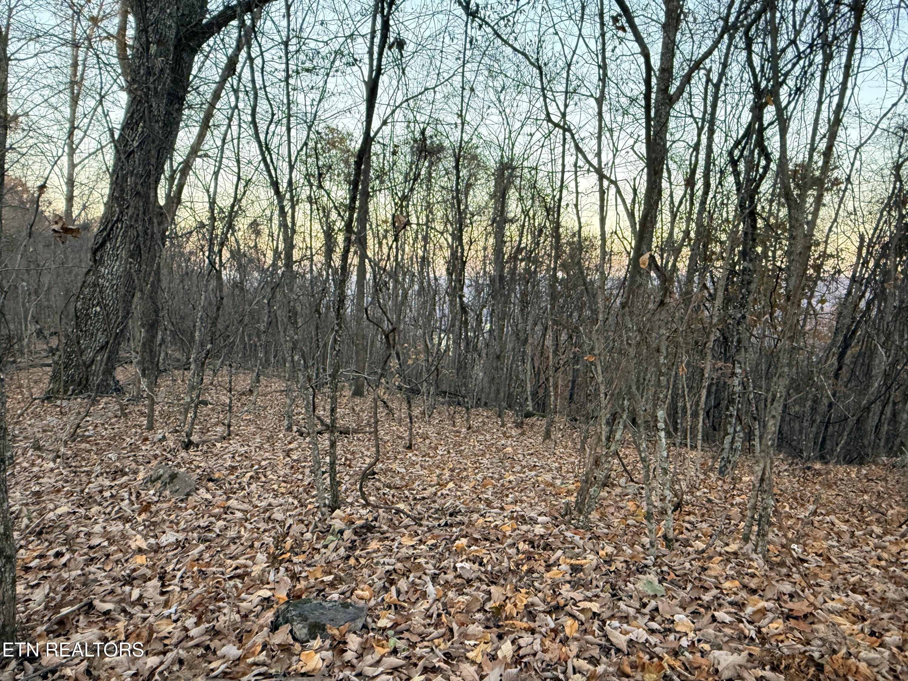 Lot 214 Clinch View Rd, New Tazewell, TN - Norris Lake Real Estate - Image# 13