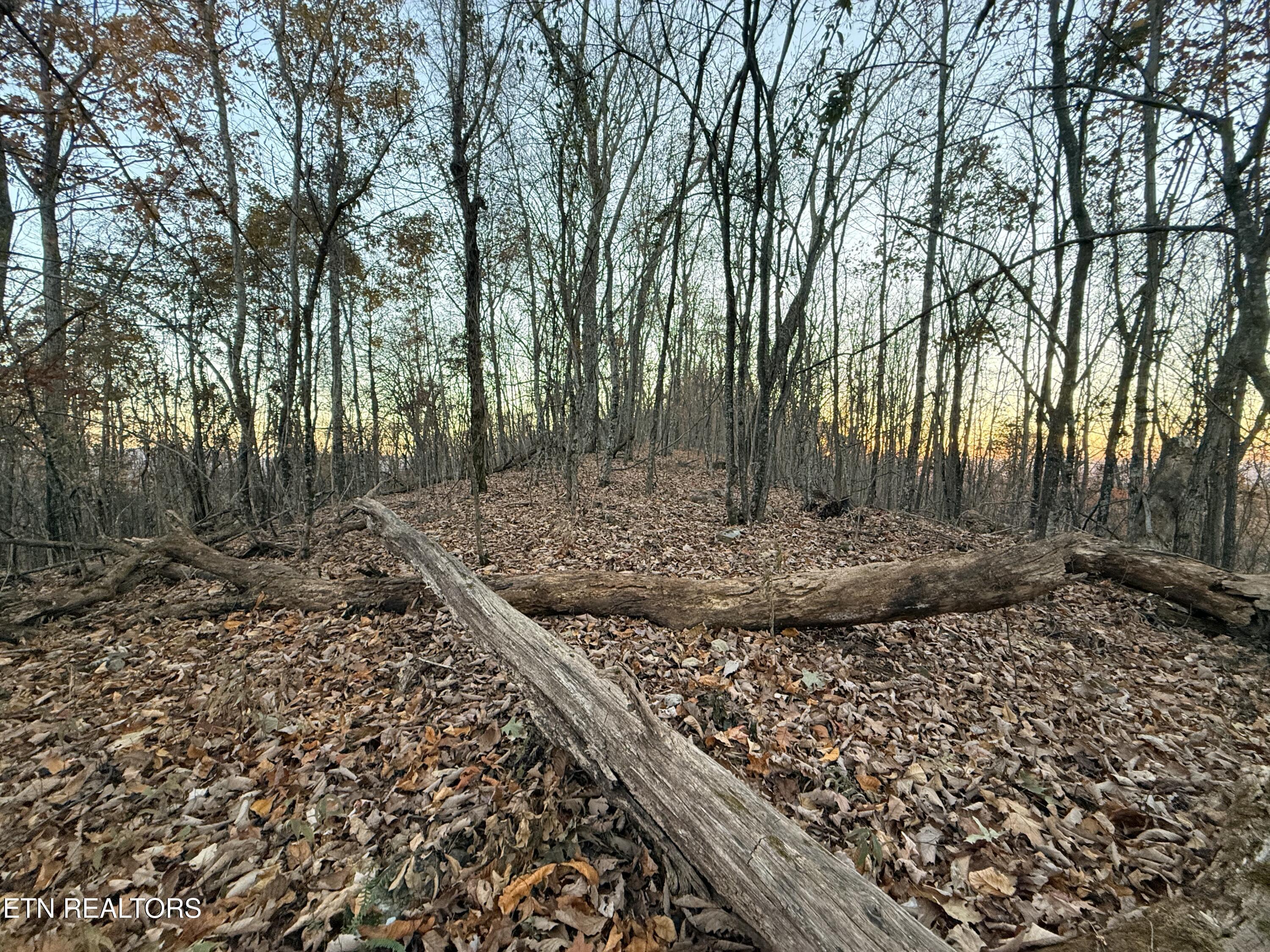 Lot 214 Clinch View Rd, New Tazewell, TN - Norris Lake Real Estate - Image# 14