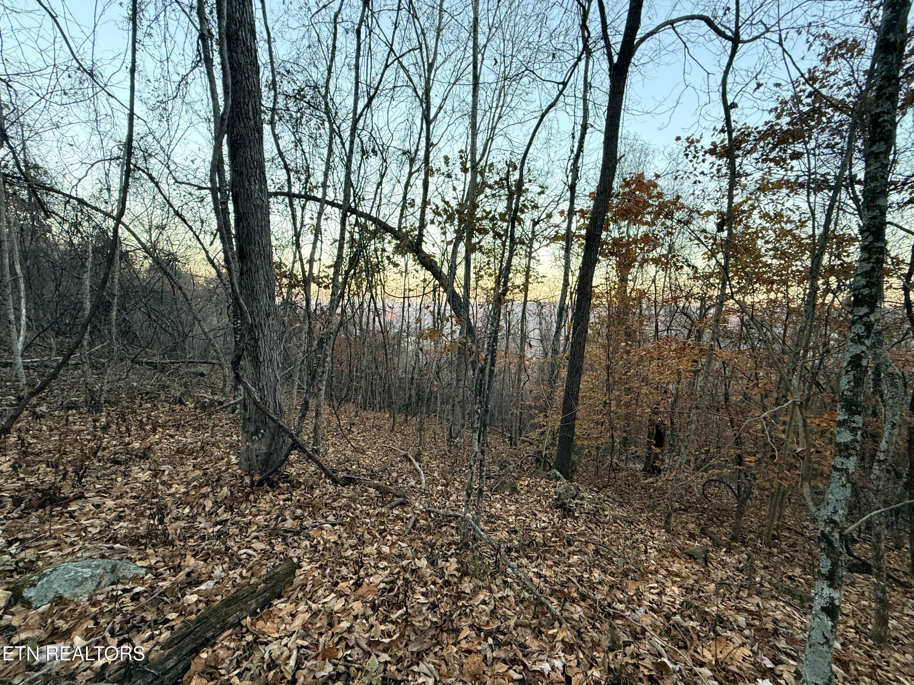 Lot 214 Clinch View Rd, New Tazewell, TN - Norris Lake Real Estate - Image# 19