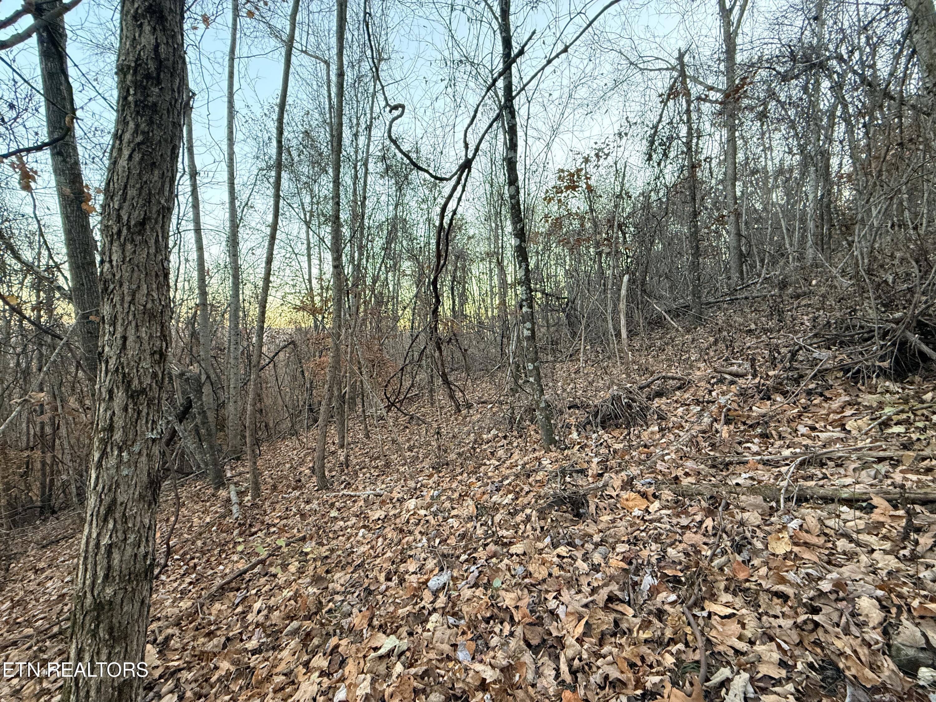 Lot 214 Clinch View Rd, New Tazewell, TN - Norris Lake Real Estate - Image# 20