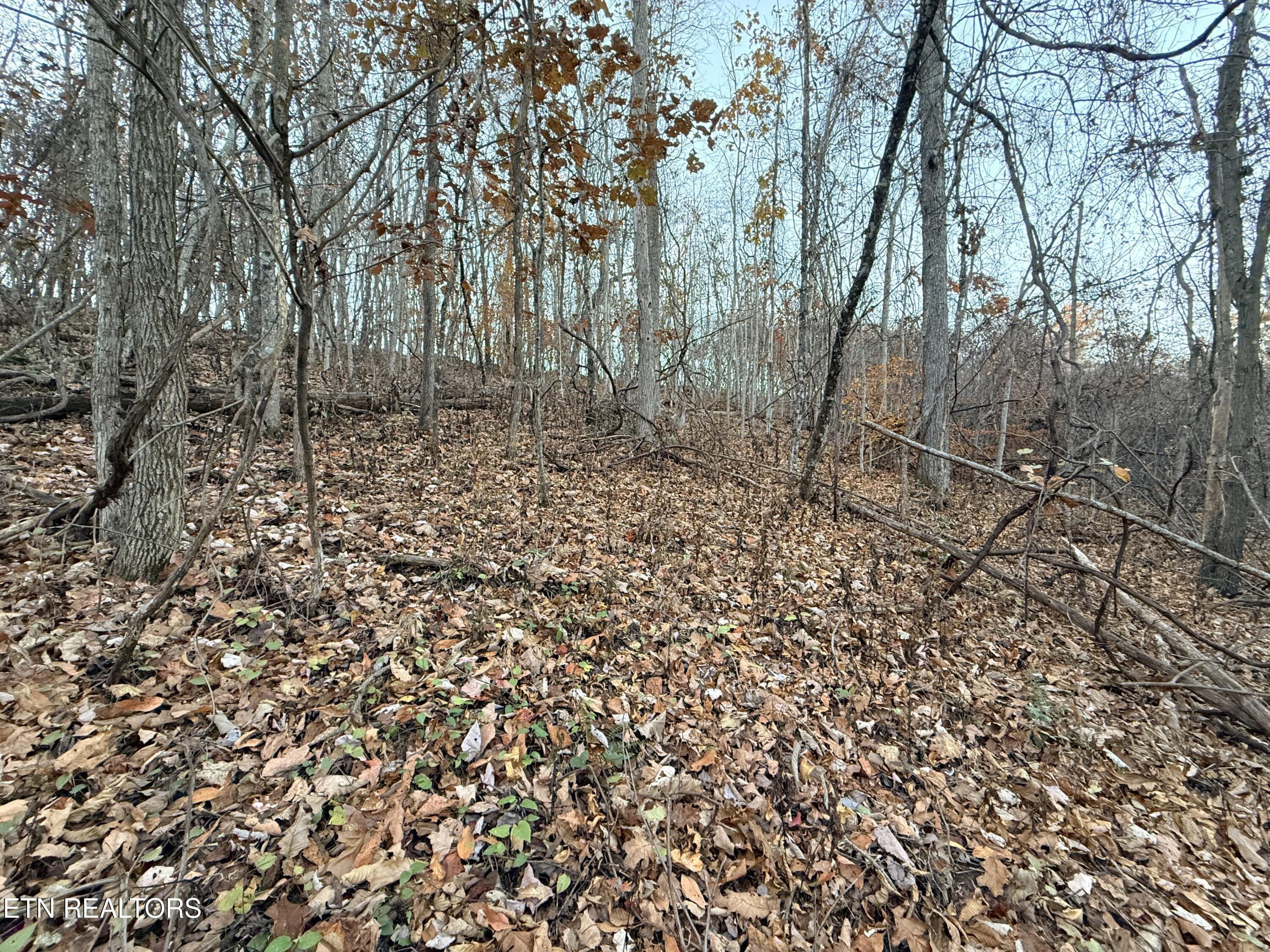 Lot 214 Clinch View Rd, New Tazewell, TN - Norris Lake Real Estate - Image# 21
