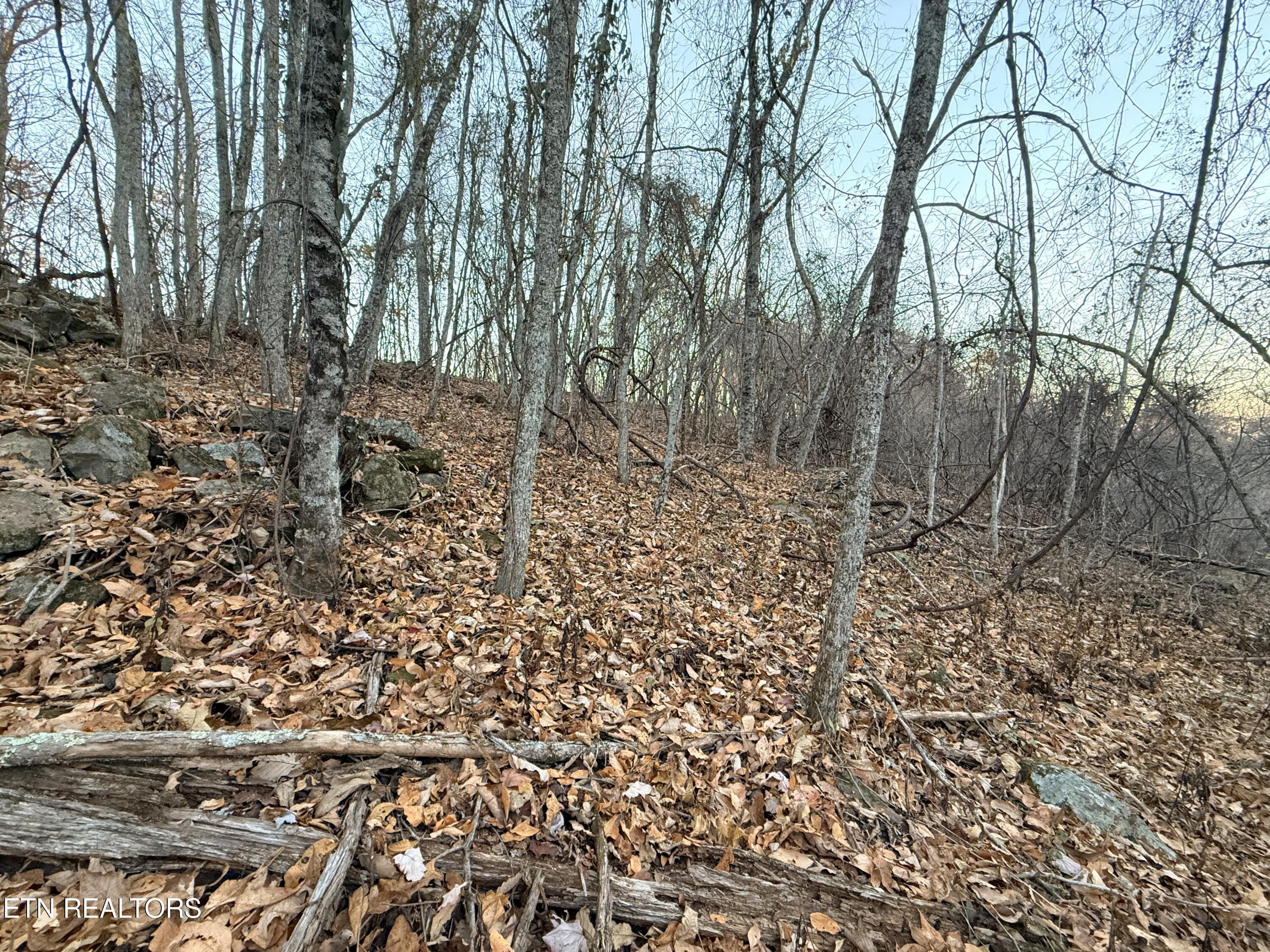 Lot 214 Clinch View Rd, New Tazewell, TN - Norris Lake Real Estate - Image# 22
