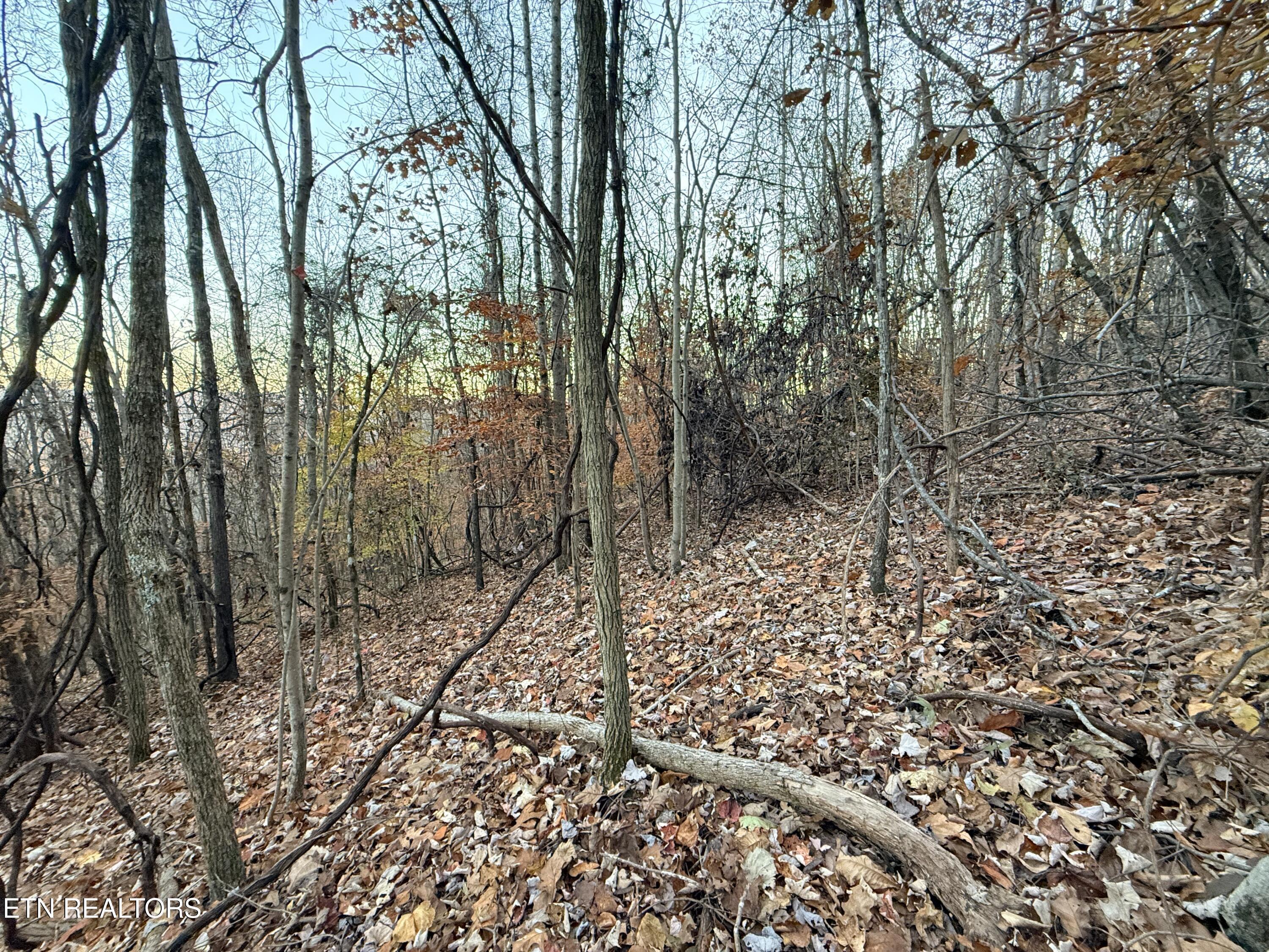 Lot 214 Clinch View Rd, New Tazewell, TN - Norris Lake Real Estate - Image# 26
