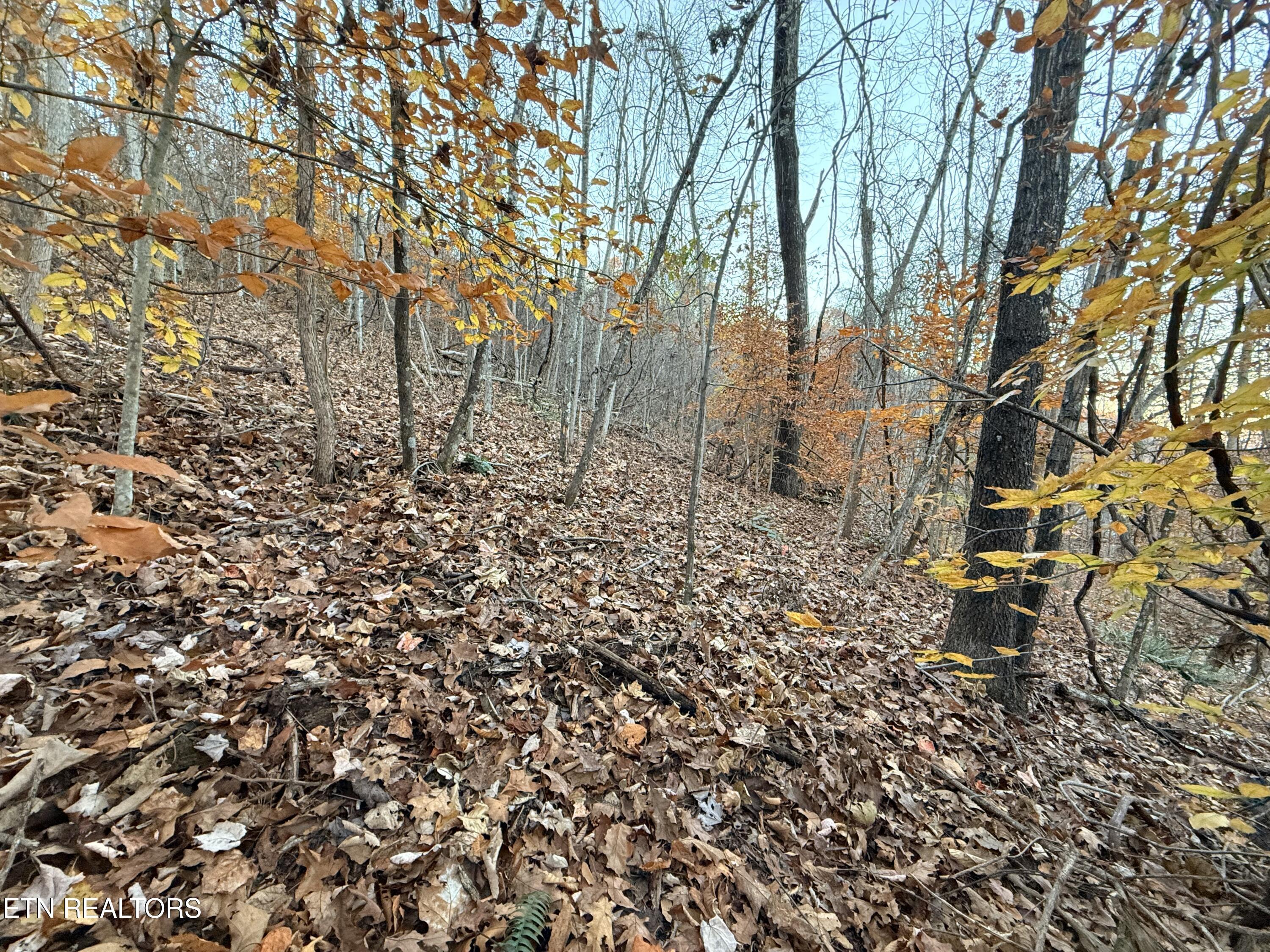 Lot 214 Clinch View Rd, New Tazewell, TN - Norris Lake Real Estate - Image# 27