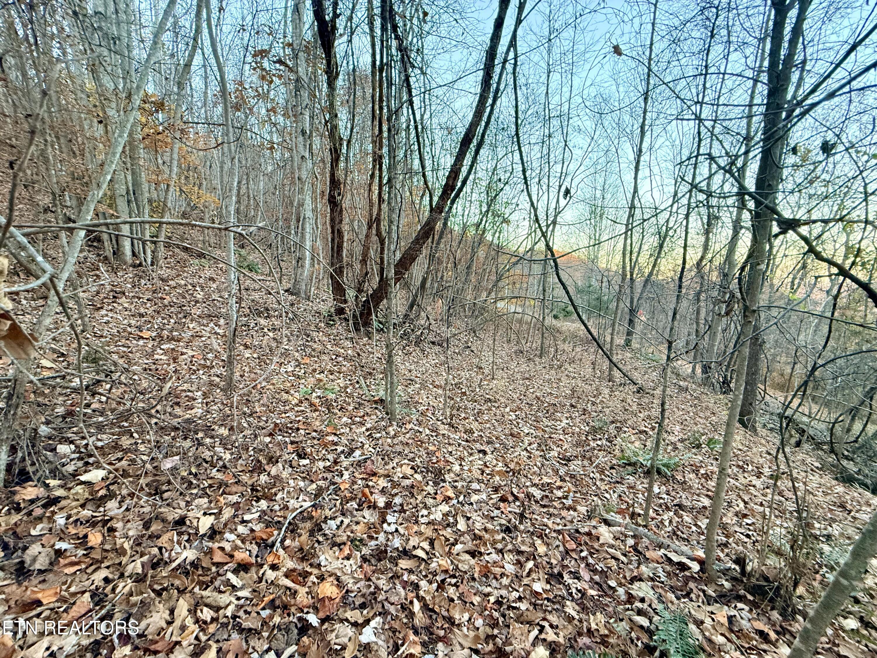 Lot 214 Clinch View Rd, New Tazewell, TN - Norris Lake Real Estate - Image# 33