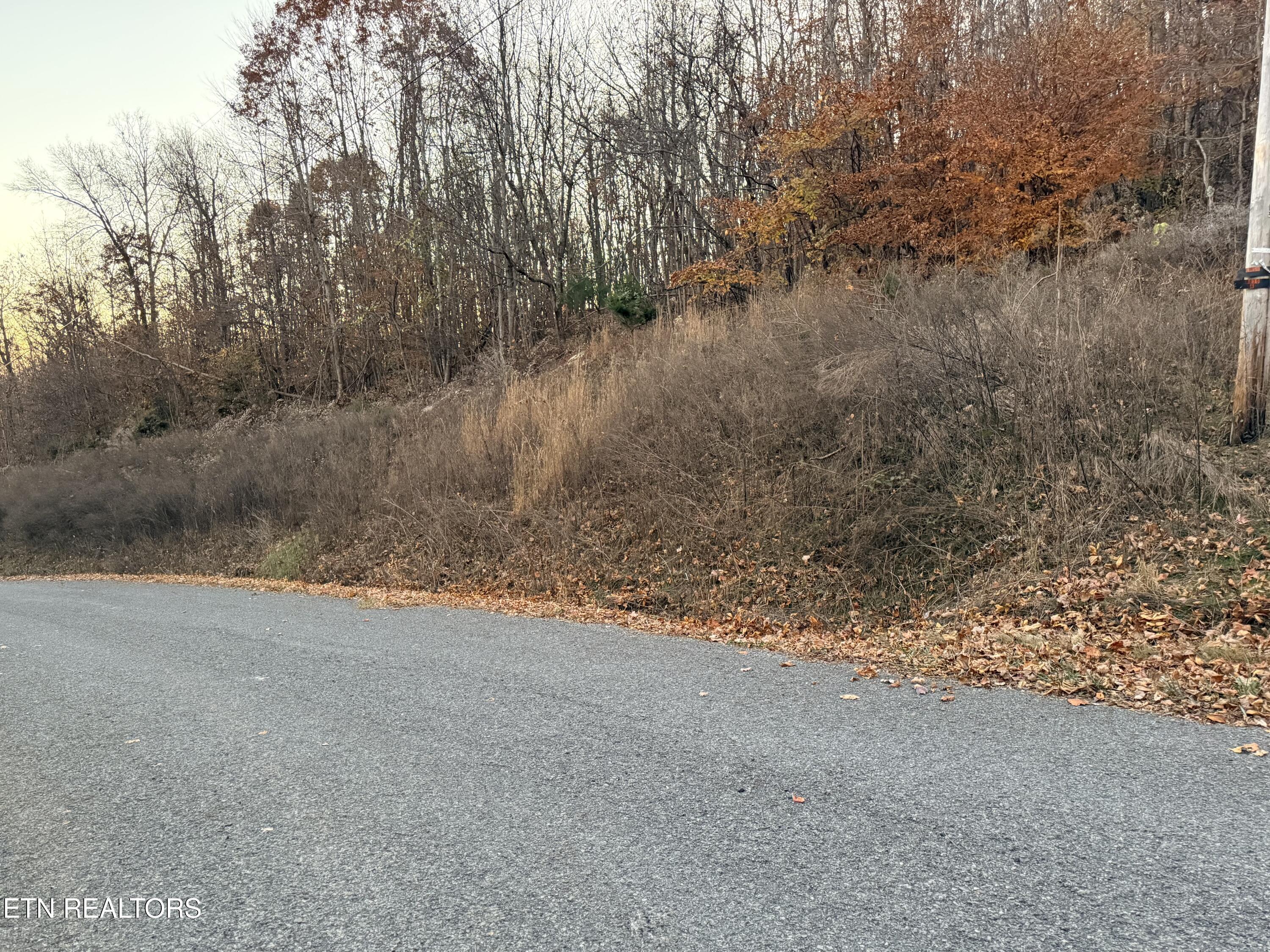 Lot 214 Clinch View Rd, New Tazewell, TN - Norris Lake Real Estate - Image# 2