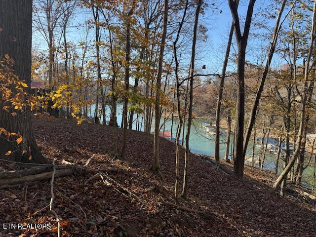 Deer Run Place, Lafollette, TN - Norris Lake Real Estate - Image# 2