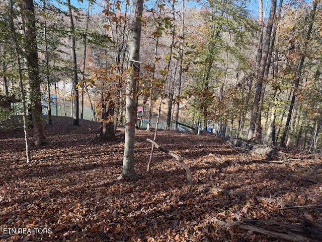 Deer Run Place, Lafollette, TN - Norris Lake Real Estate - Image# 4