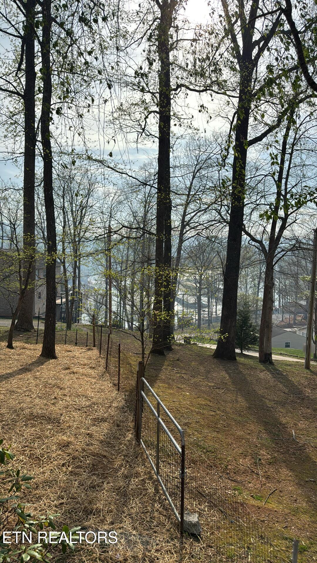 Norris Lake Real Estate - Image# 89