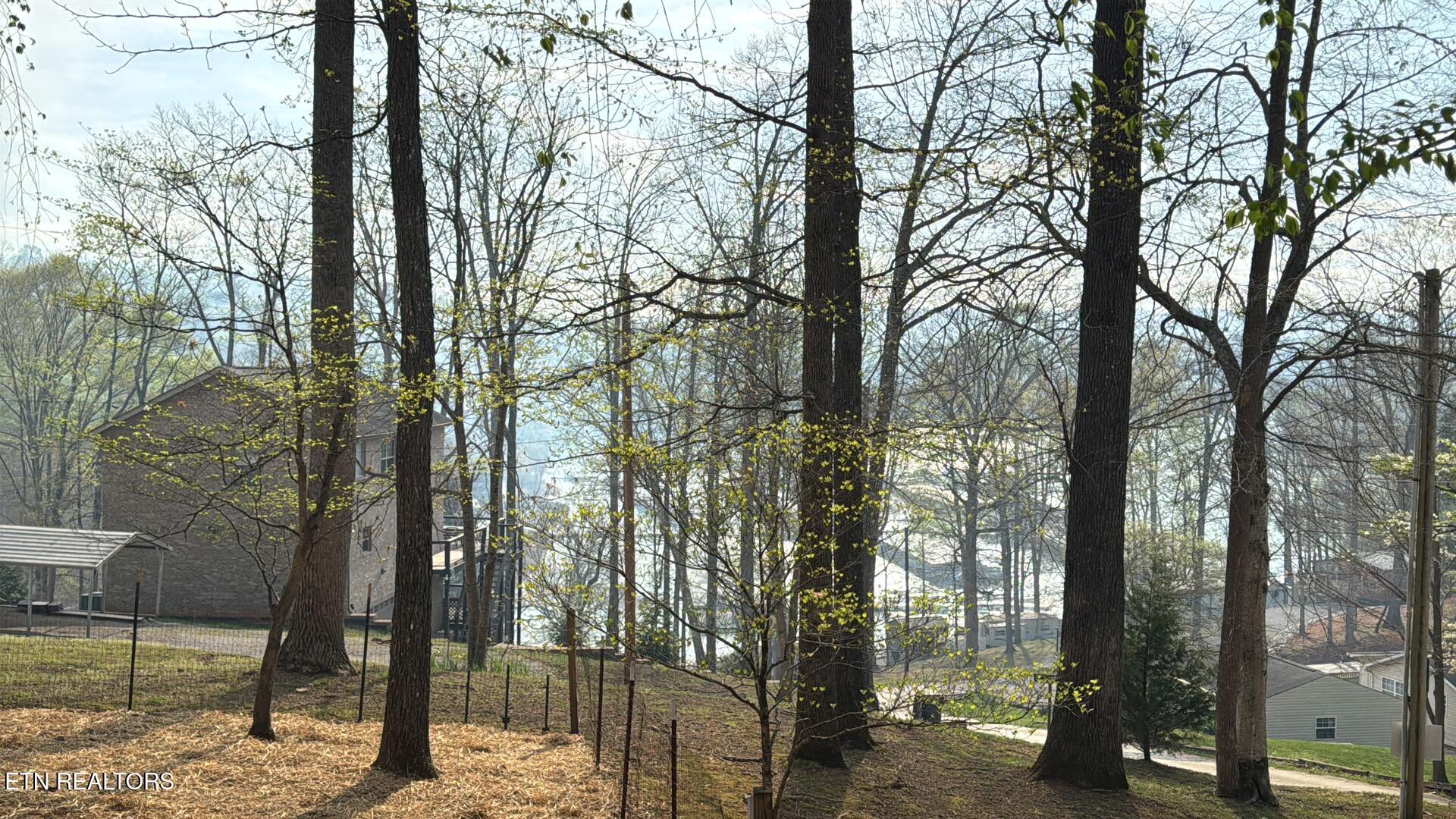 Norris Lake Real Estate - Image# 91