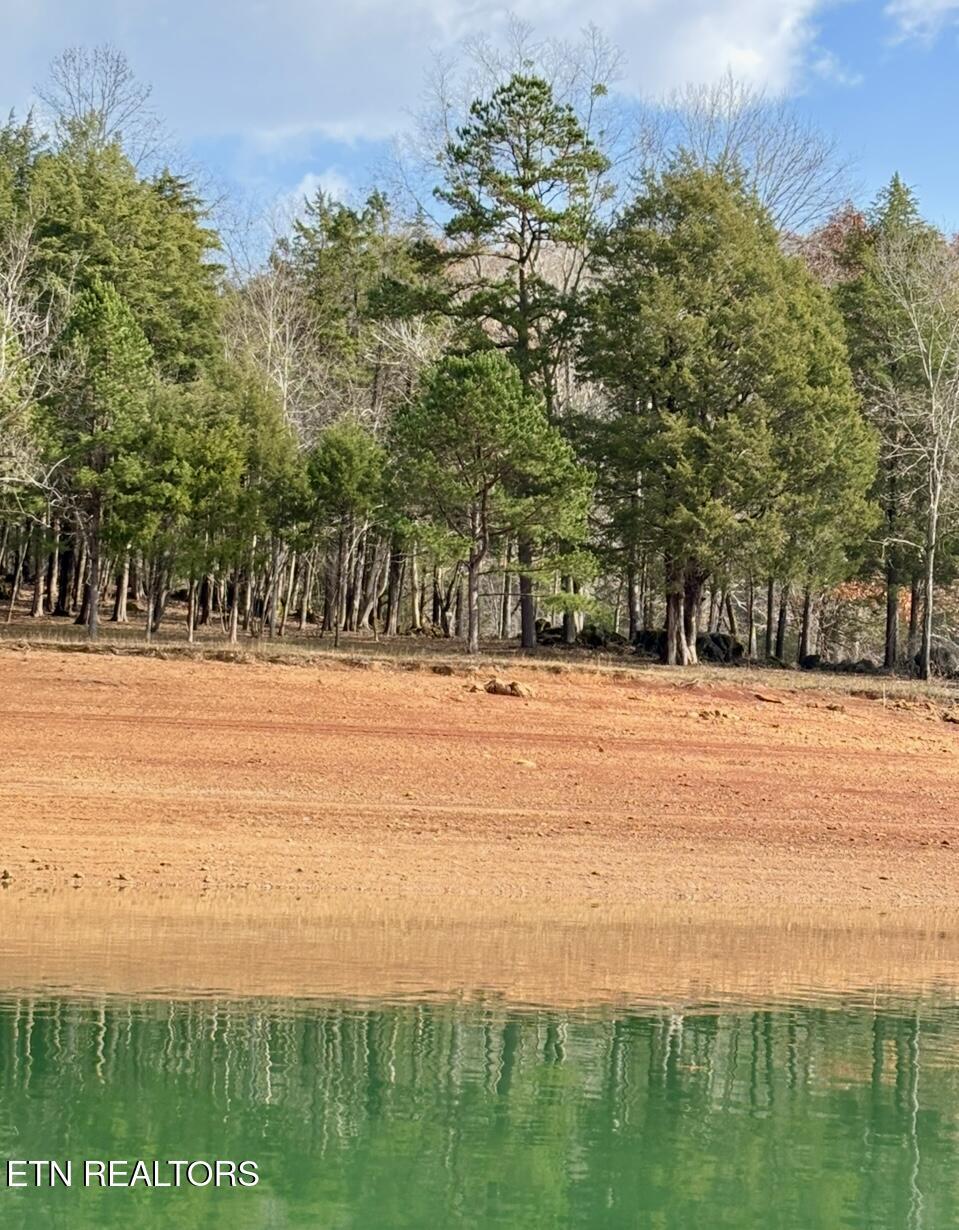 Bridle Way, Speedwell, TN - Norris Lake Real Estate - Image# 4