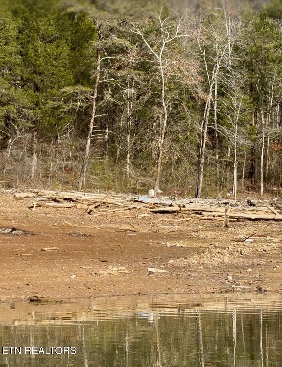 Bridle Way, Speedwell, TN - Norris Lake Real Estate - Image# 5