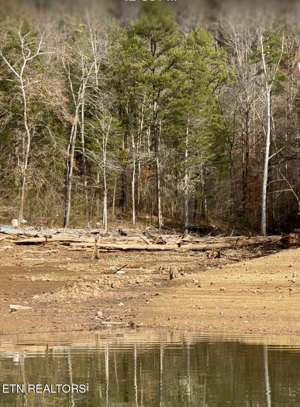 Bridle Way, Speedwell, TN - Norris Lake Real Estate - Image# 6