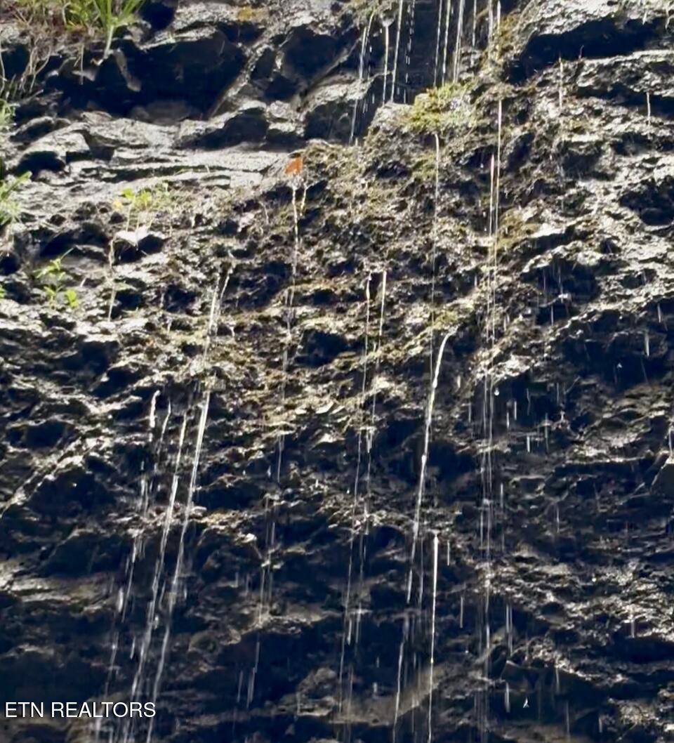 Bridle Way, Speedwell, TN - Norris Lake Real Estate - Image# 7