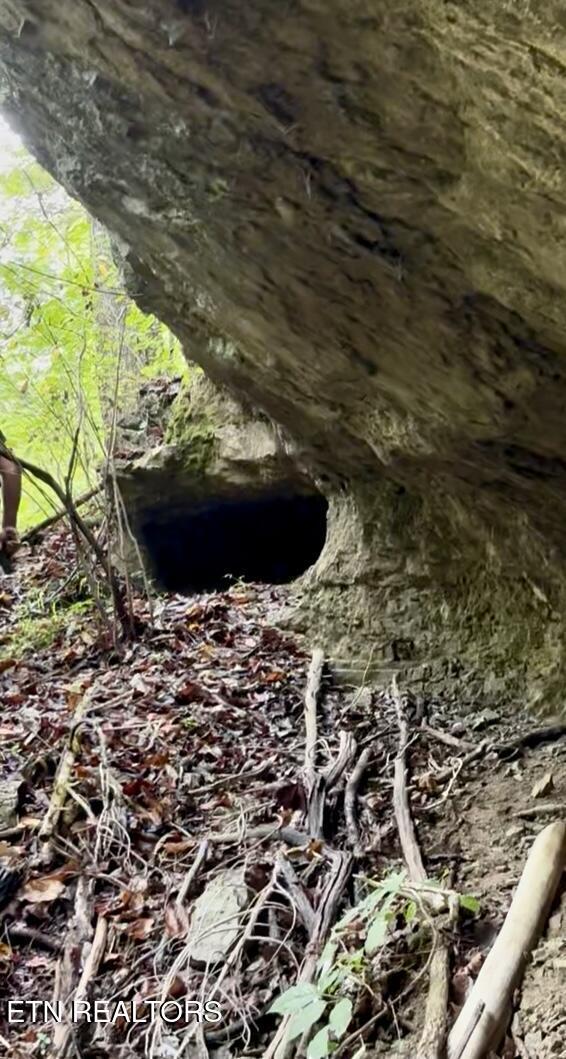 Bridle Way, Speedwell, TN - Norris Lake Real Estate - Image# 8