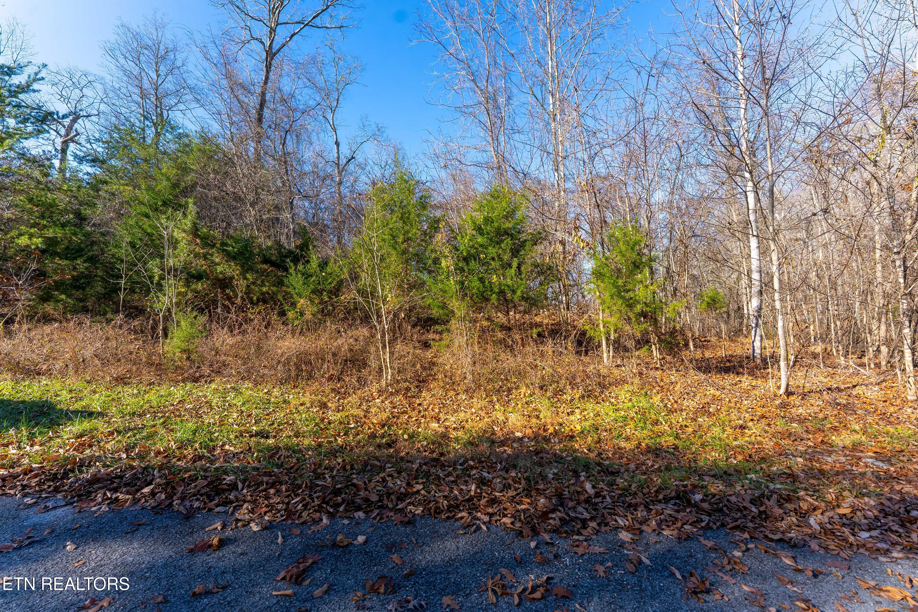 919 Sparrow Way, Sharps Chapel, TN - Norris Lake Real Estate - Image# 6