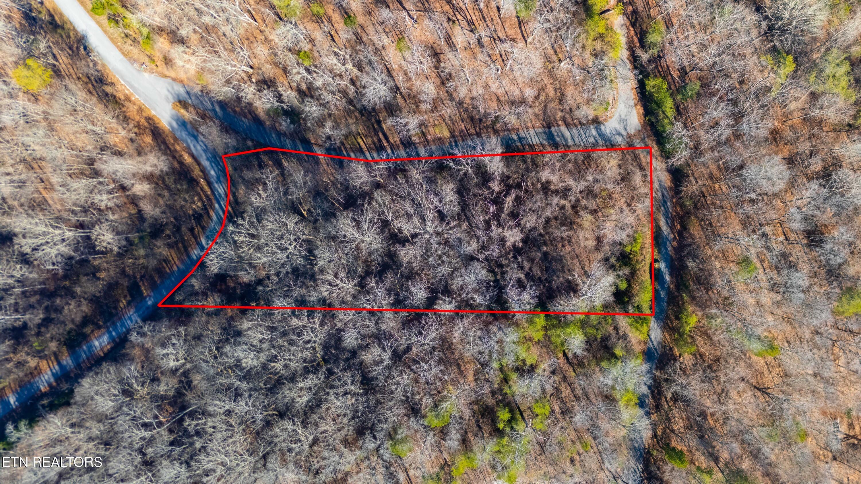 919 Sparrow Way, Sharps Chapel, TN - Norris Lake Real Estate - Image# 3