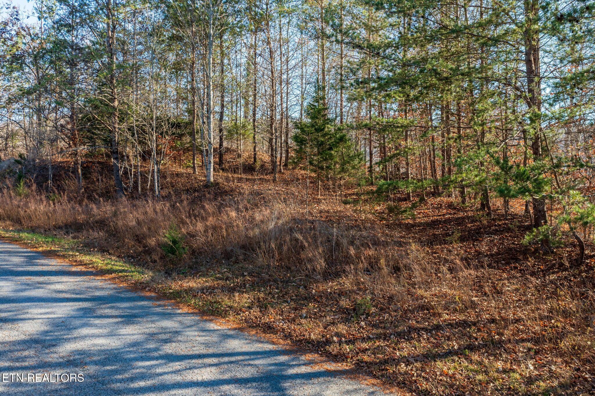 Lot 844 Landmark Drive, New Tazewell, TN - Norris Lake Real Estate - Image# 7