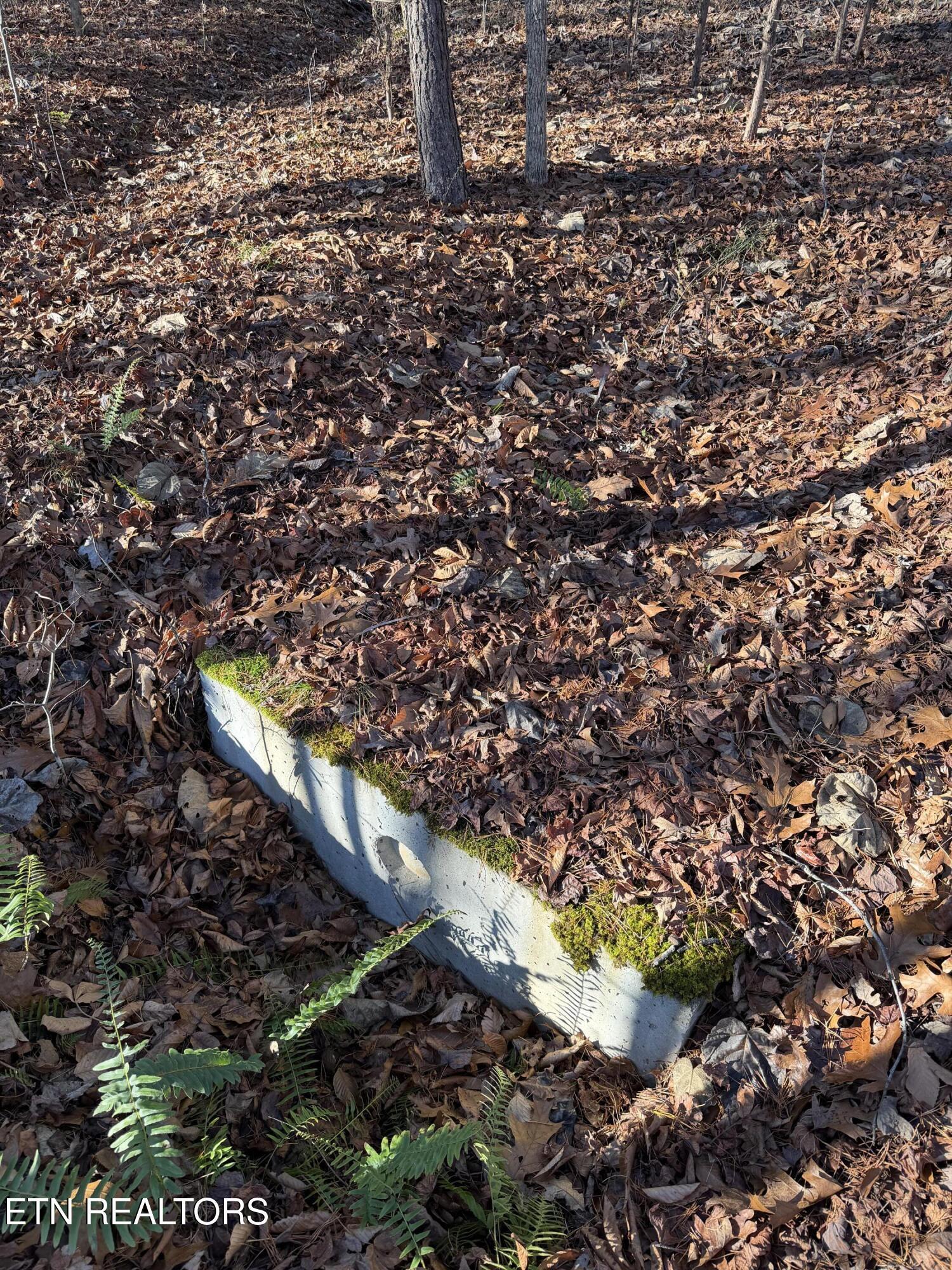 Lot 844 Landmark Drive, New Tazewell, TN - Norris Lake Real Estate - Image# 2