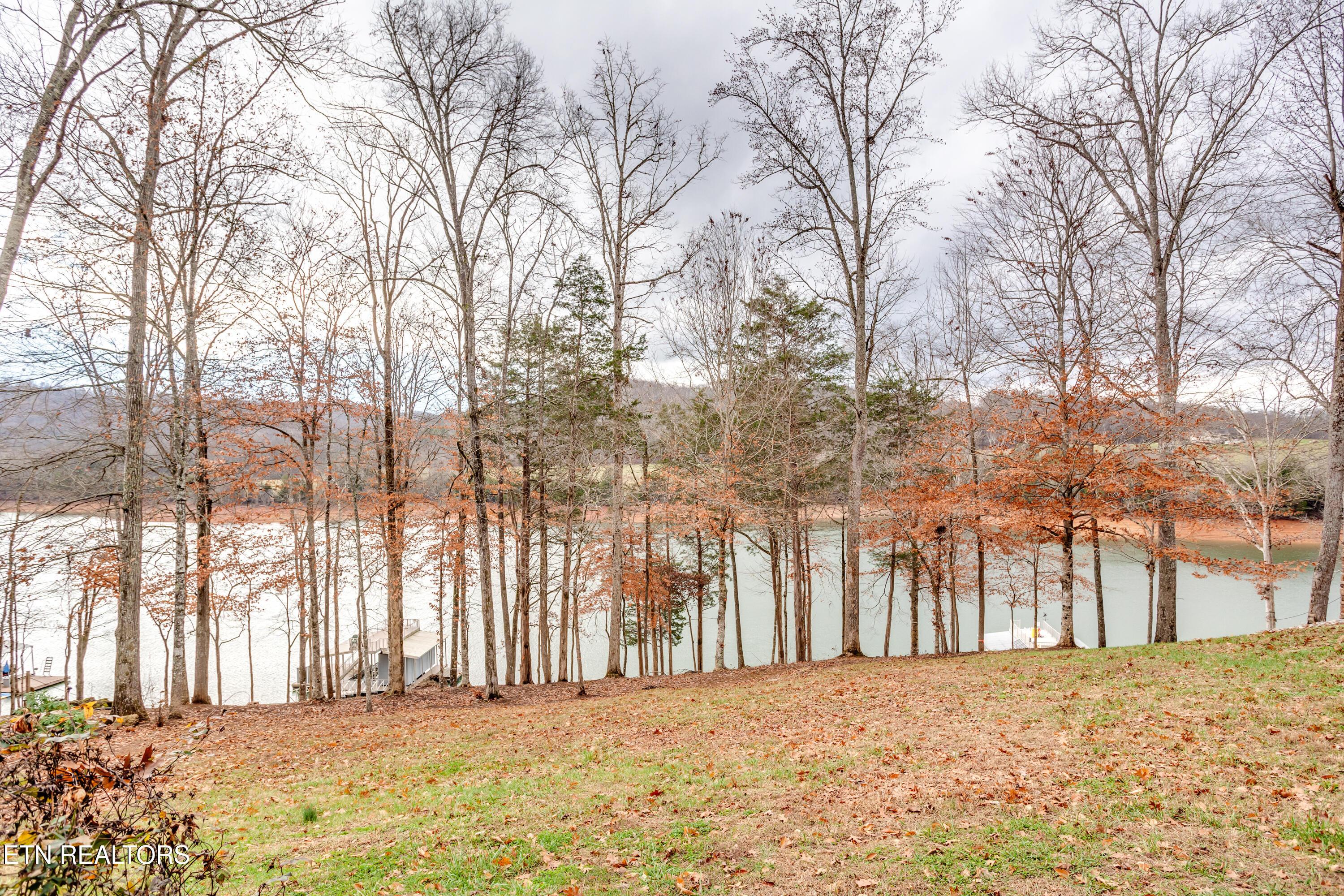 157 Helms Ferry Rd, Sharps Chapel, TN - Norris Lake Real Estate - Image# 16