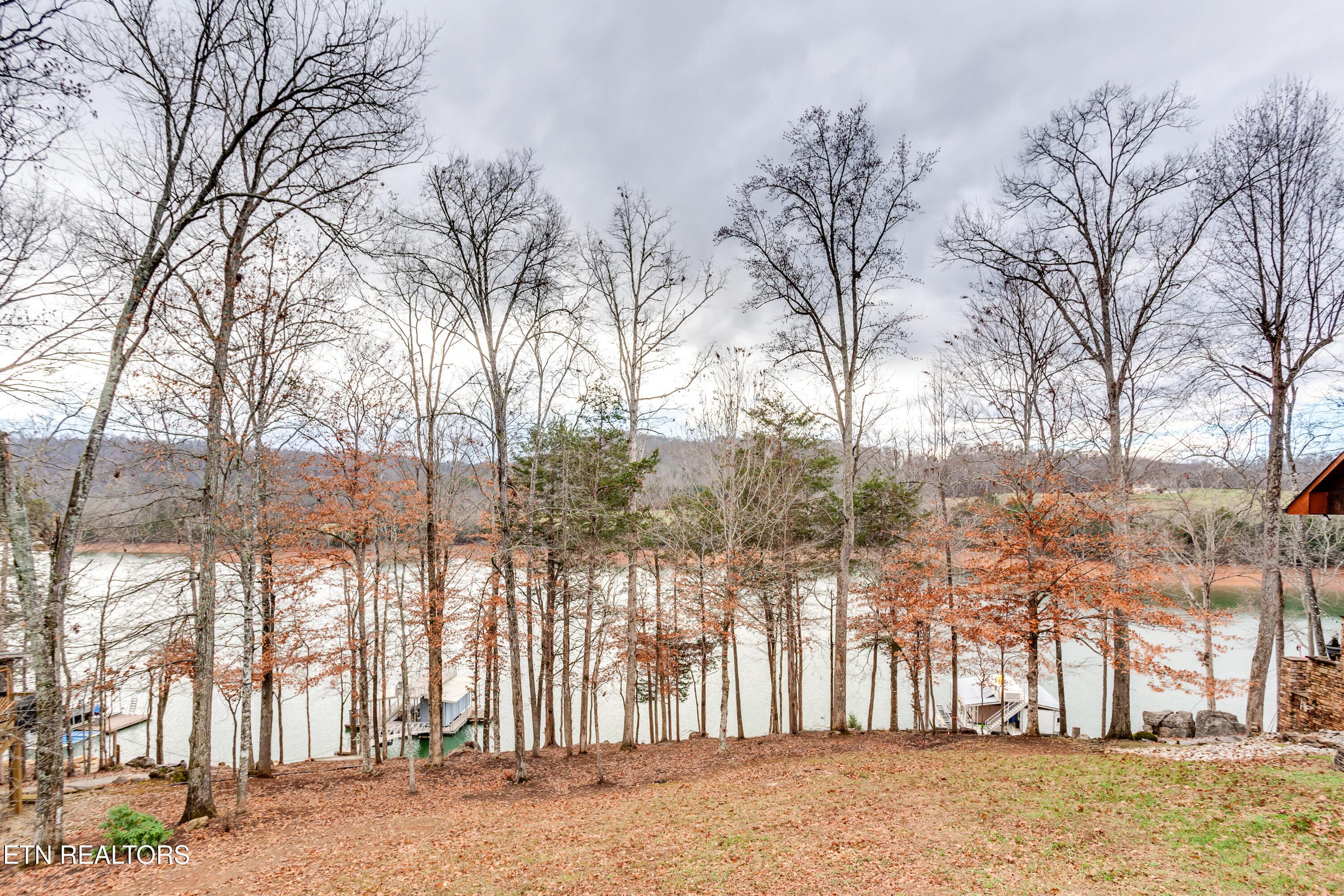 157 Helms Ferry Rd, Sharps Chapel, TN - Norris Lake Real Estate - Image# 45