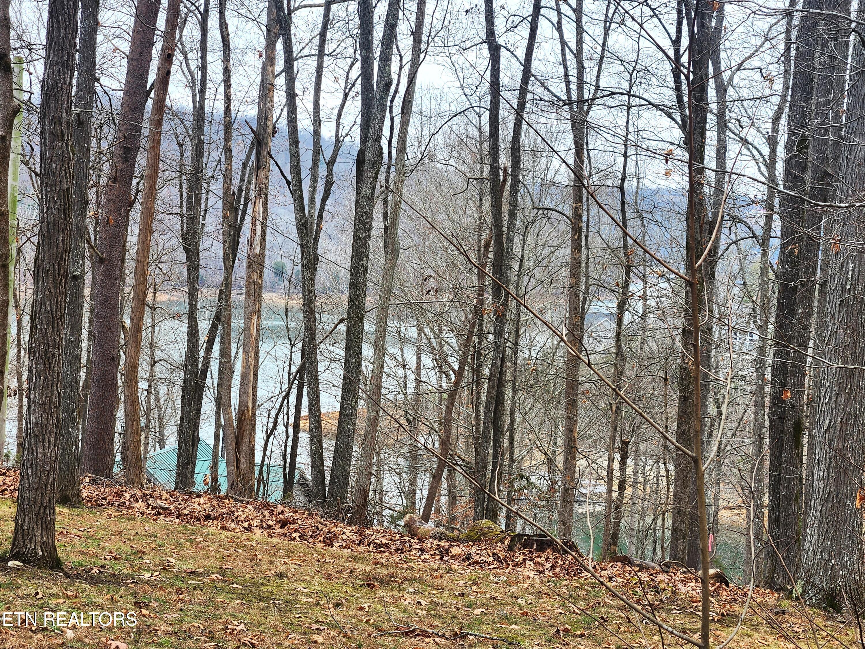 lot 21 Deer Run Point, Lafollette, TN - Norris Lake Real Estate - Image# 4