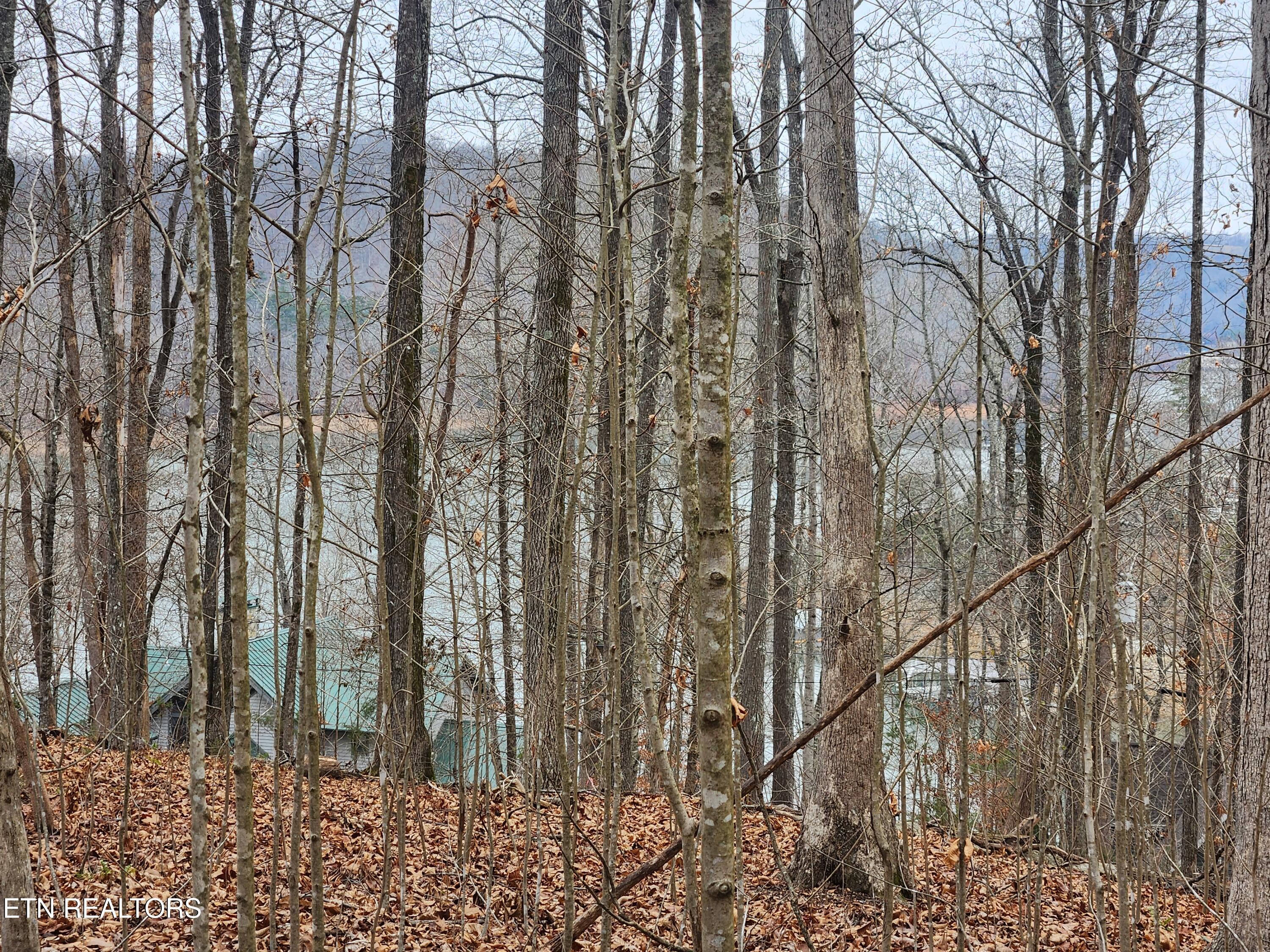 lot 21 Deer Run Point, Lafollette, TN - Norris Lake Real Estate - Image# 6