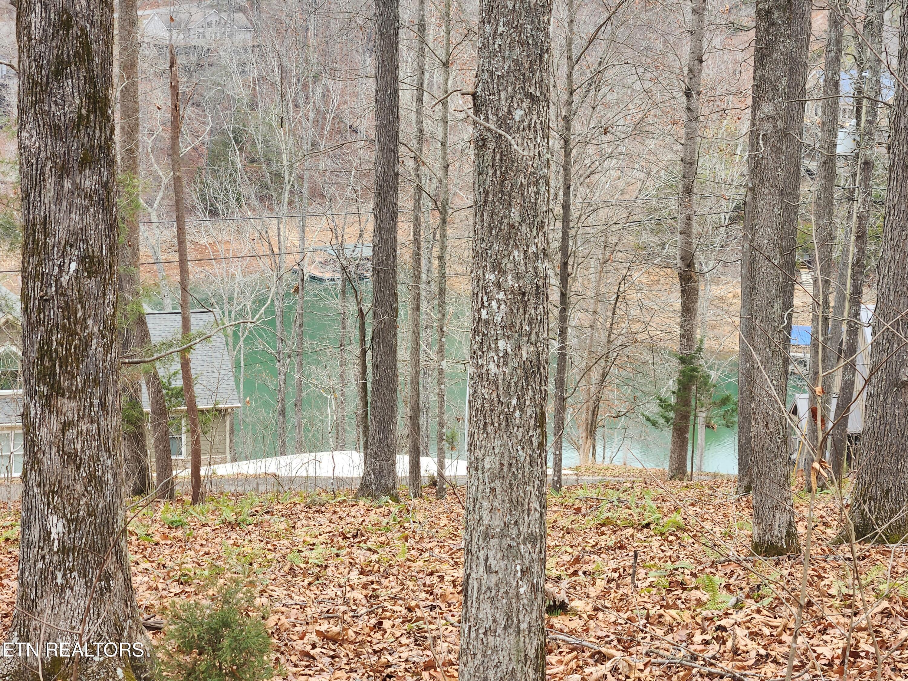 lot 21 Deer Run Point, Lafollette, TN - Norris Lake Real Estate - Image# 3