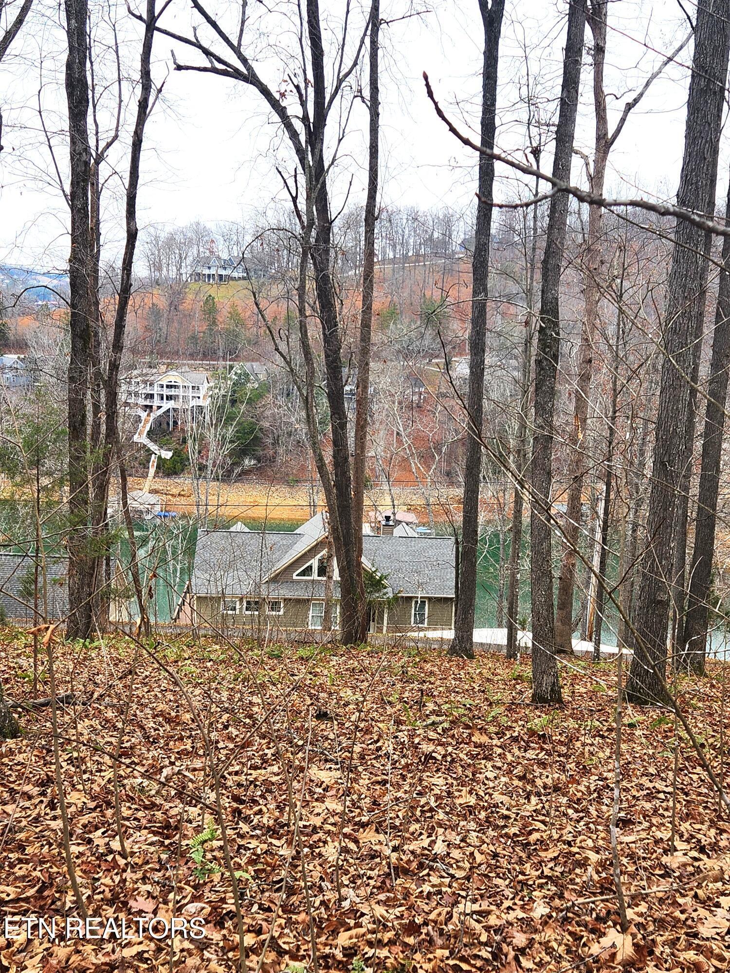 lot 21 Deer Run Point, Lafollette, TN - Norris Lake Real Estate - Image# 7