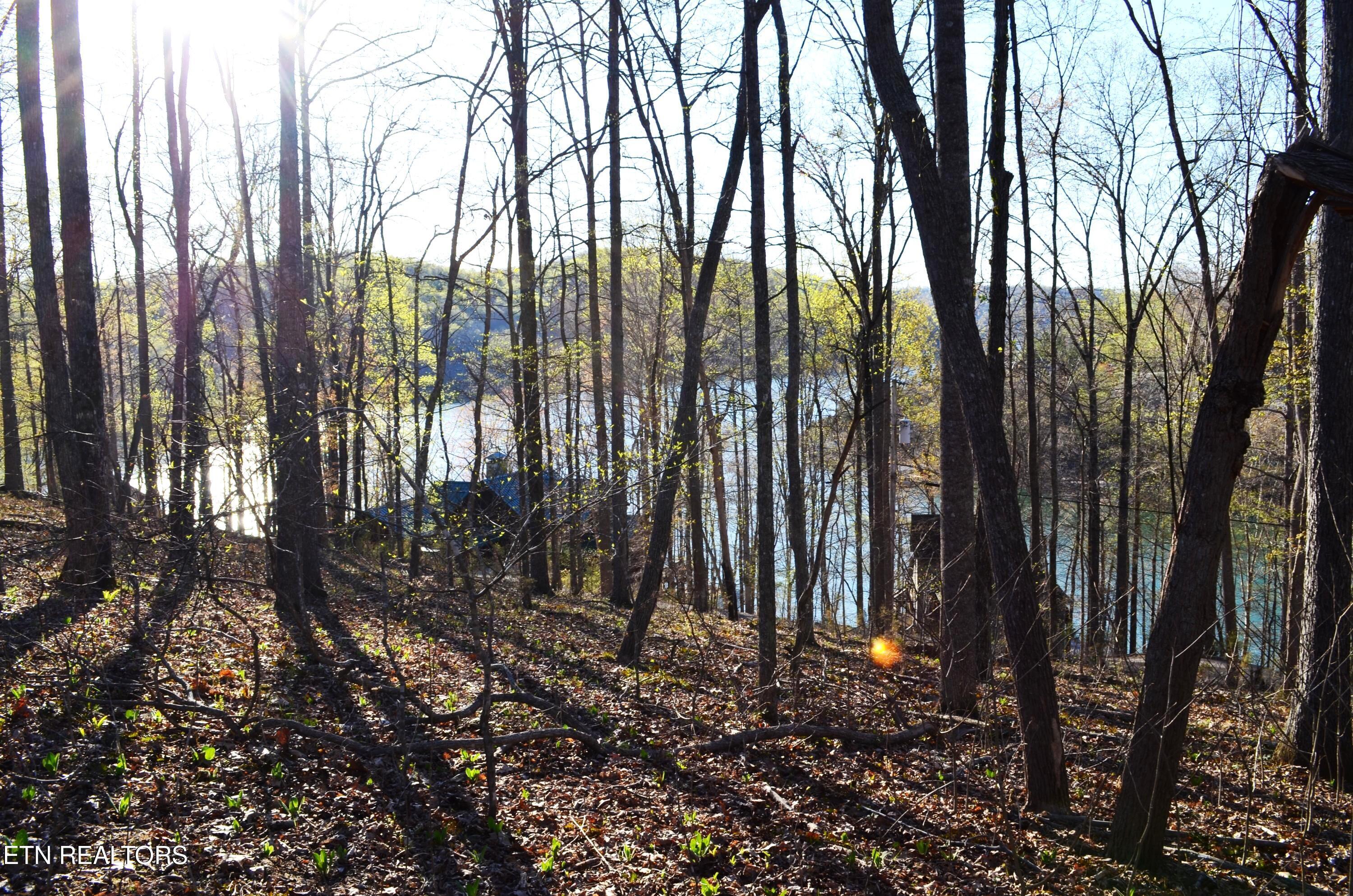 lot 21 Deer Run Point, Lafollette, TN - Norris Lake Real Estate - Image# 2