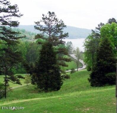 lot 21 Deer Run Point, Lafollette, TN - Norris Lake Real Estate - Image# 13