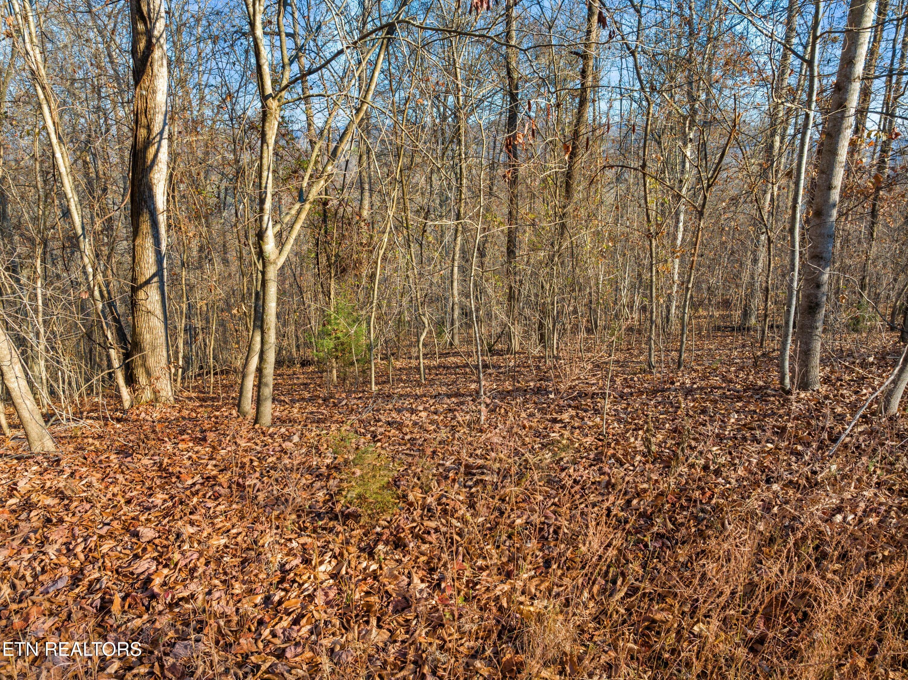 527 & 528 Garnet Tr, New Tazewell, TN - Norris Lake Real Estate - Image# 8