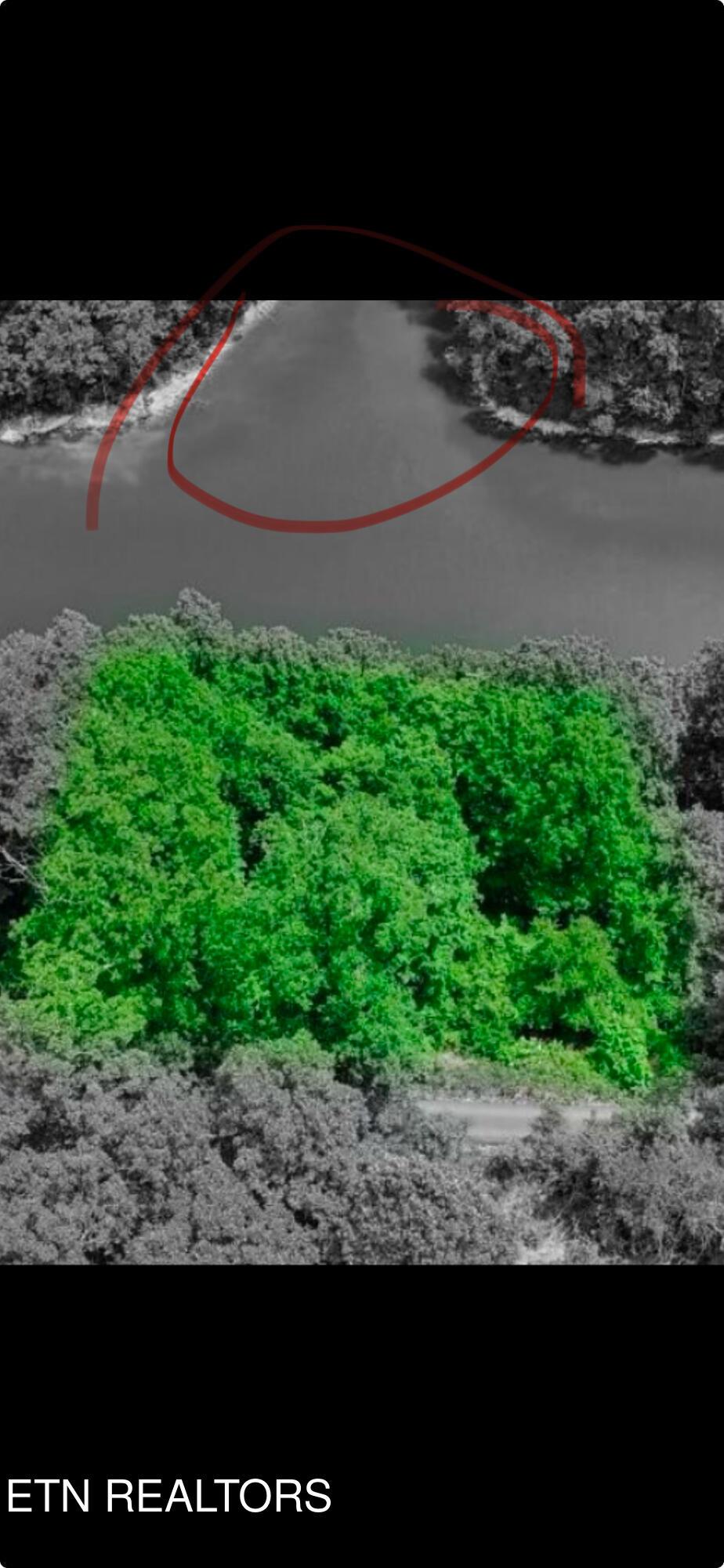 Norris Lake Real Estate - Image# 4